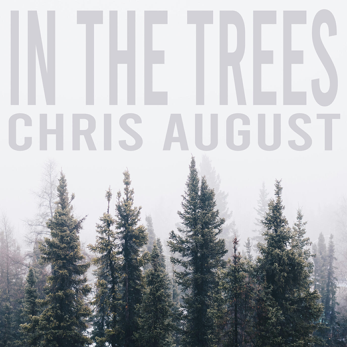 Релиз In the Trees