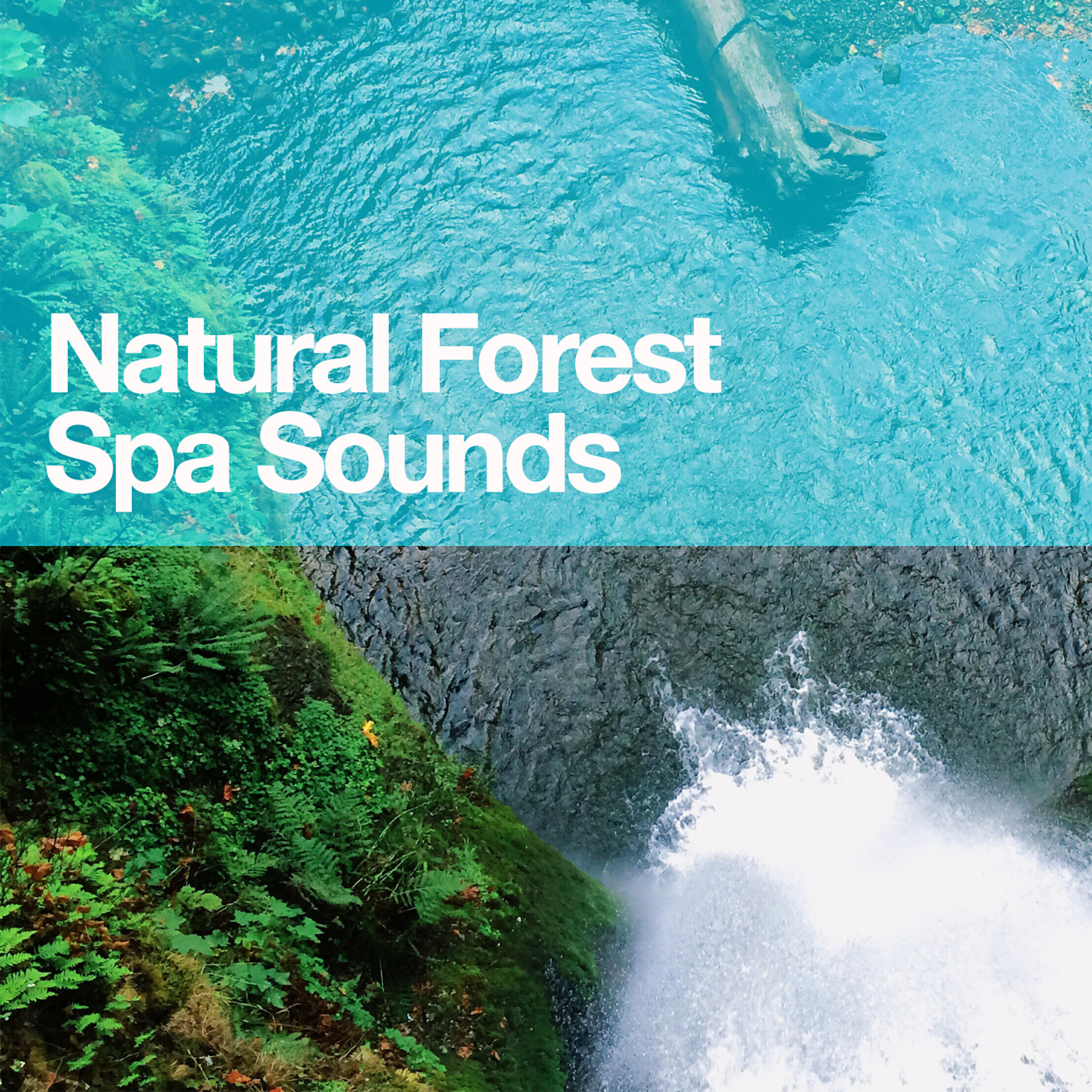 Релиз Natural Forest Spa Sounds