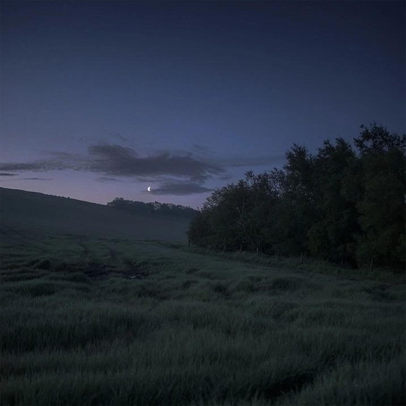 Релиз pale blue silence
