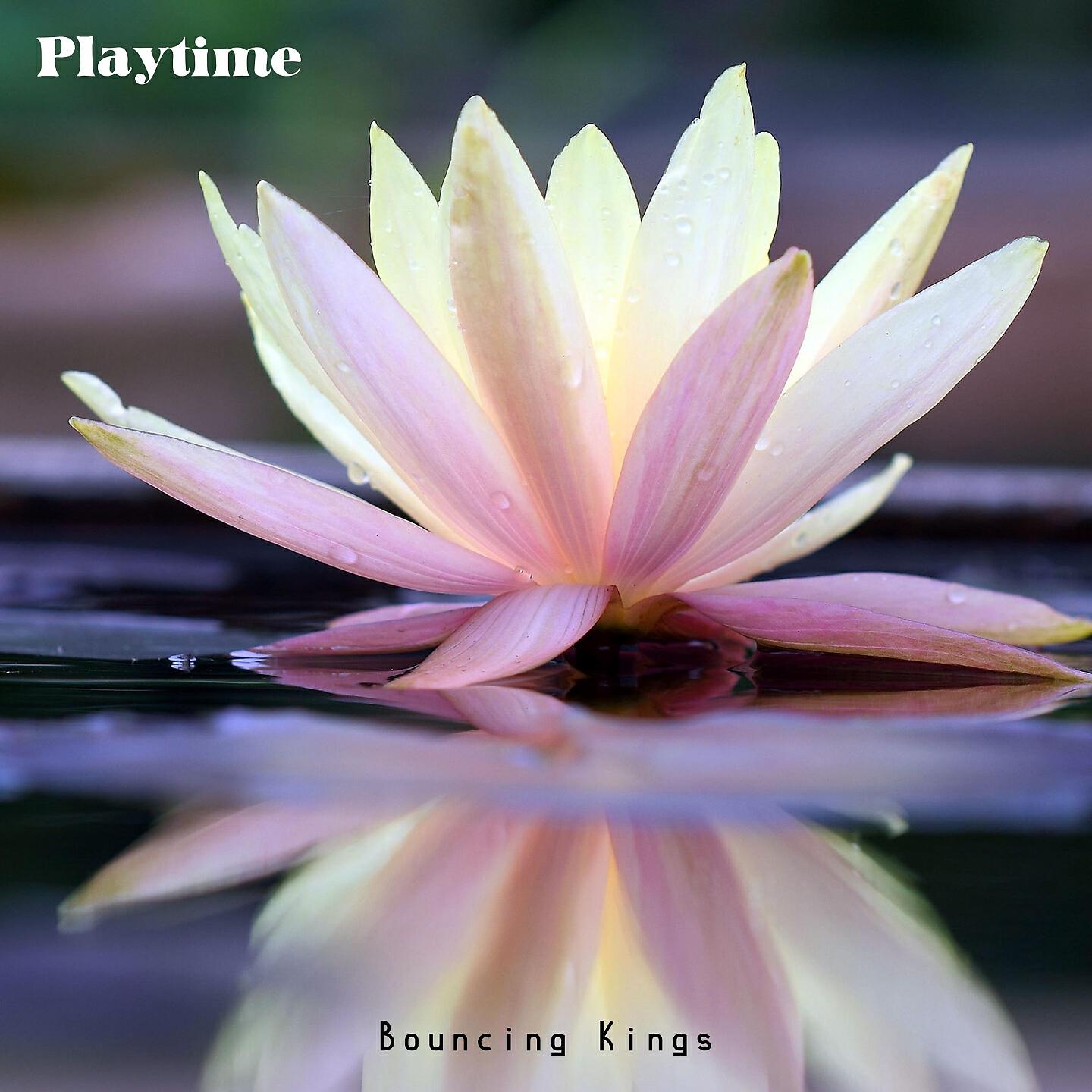 Постер альбома Playtime