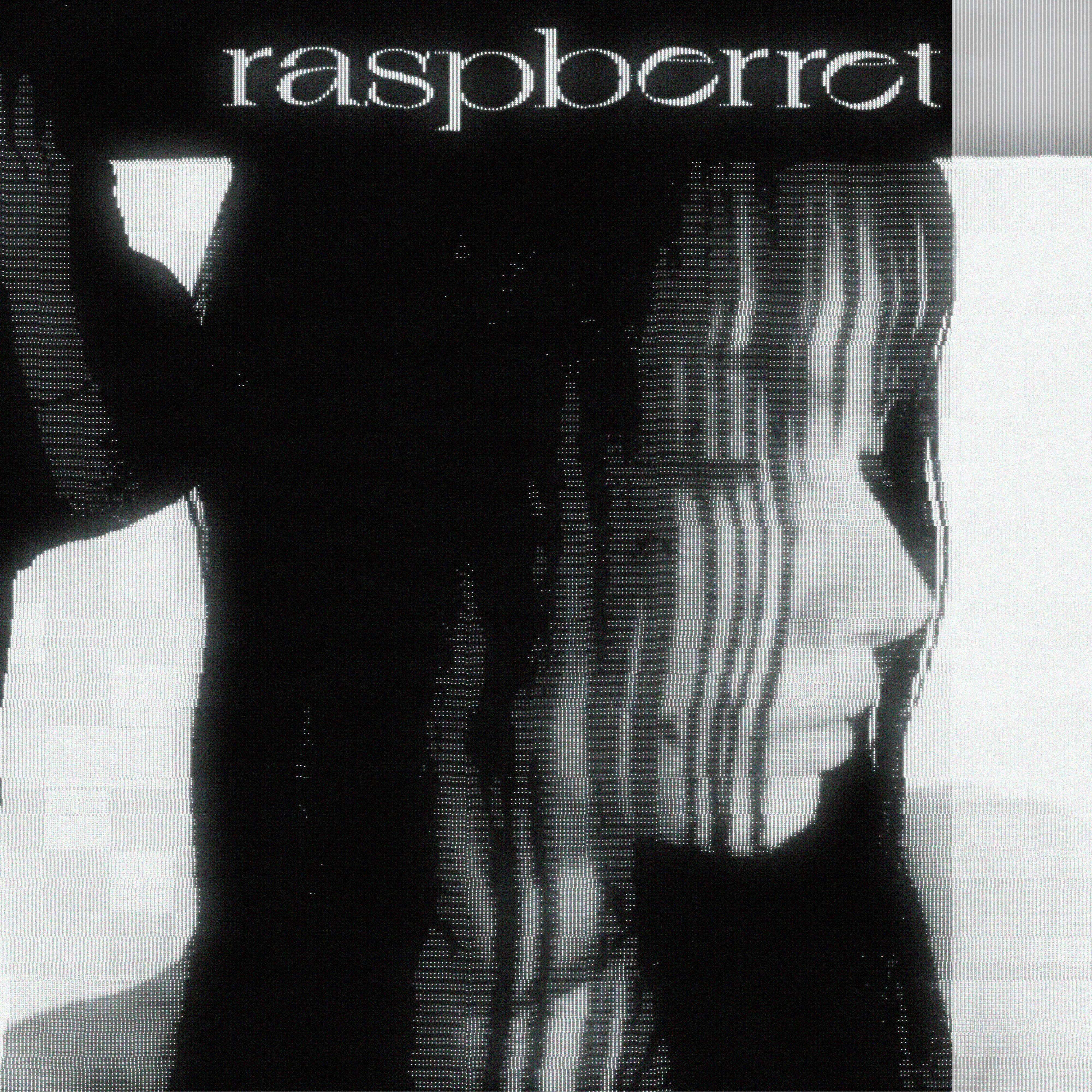 Релиз raspberret