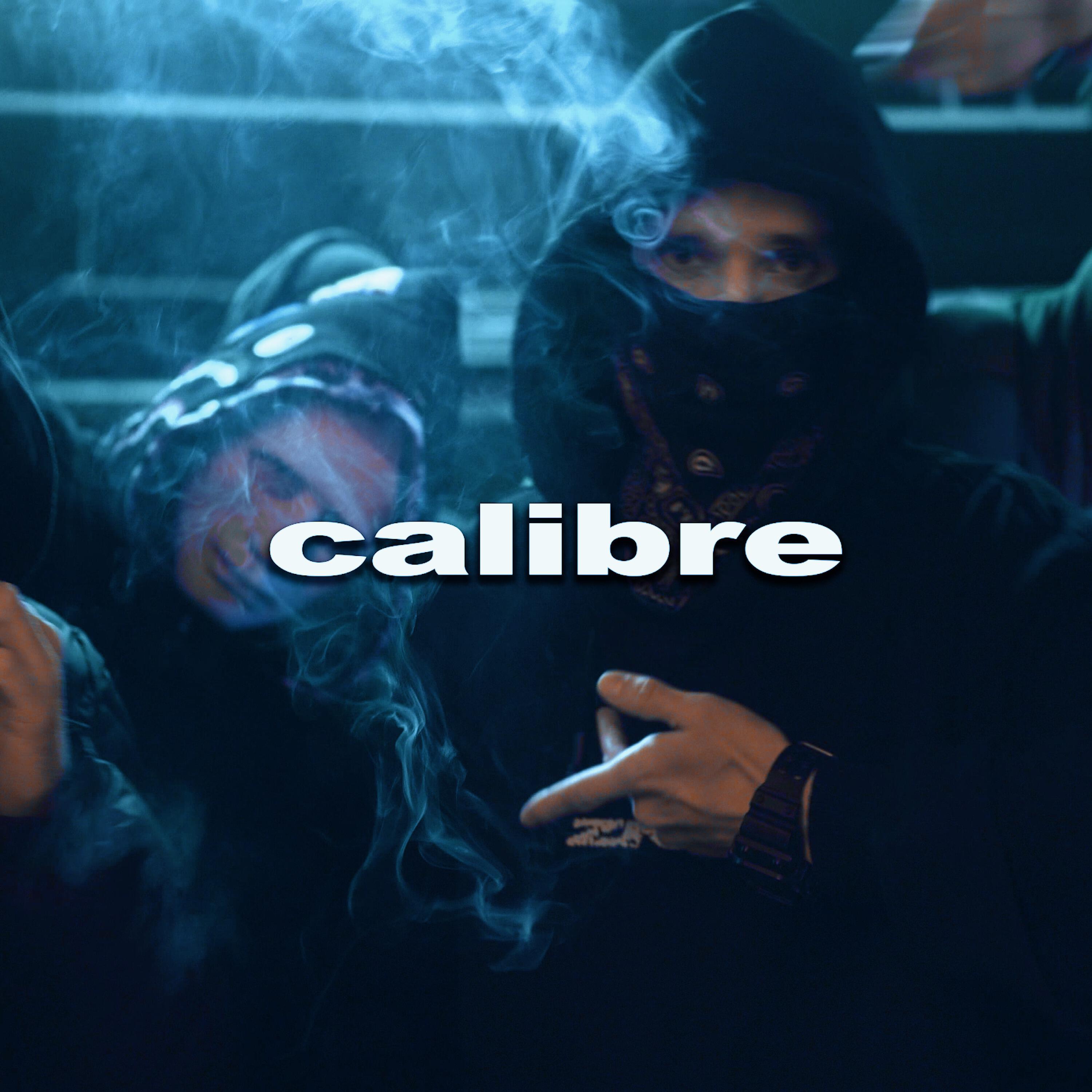 Релиз calibre