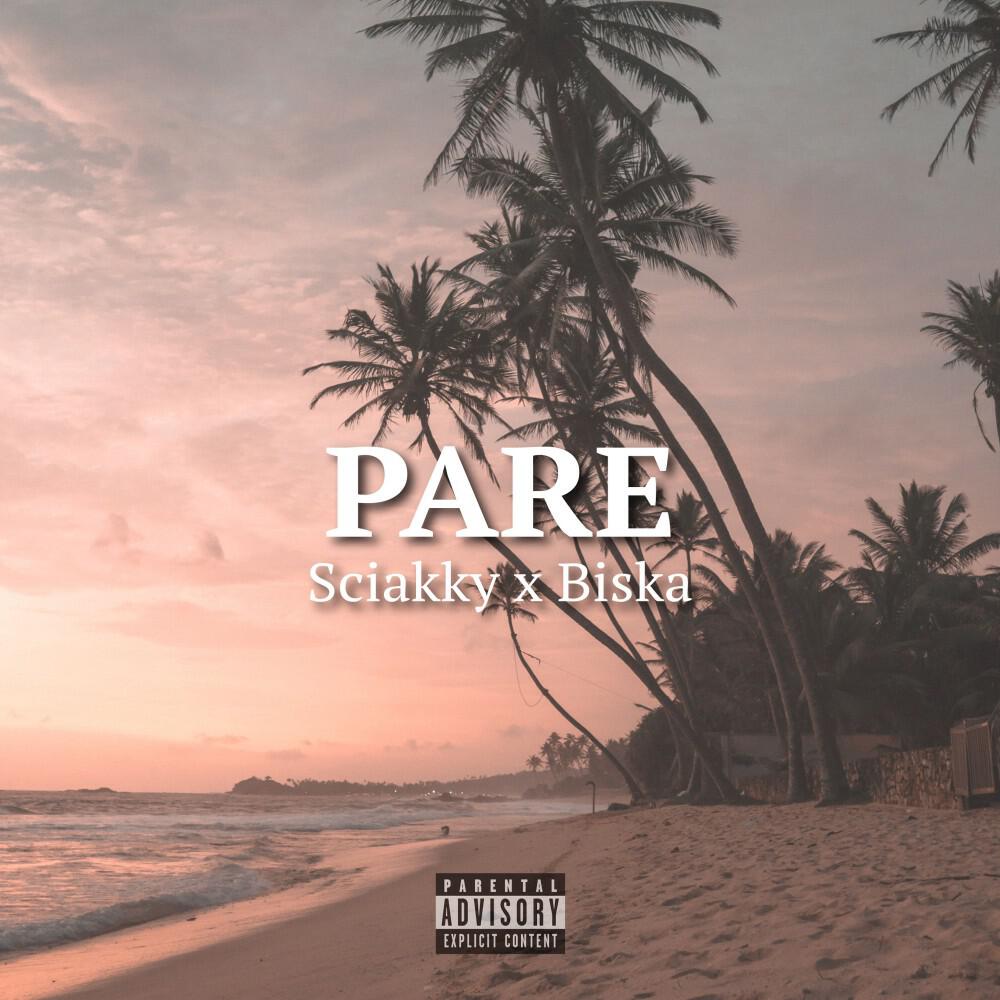 Релиз Pare