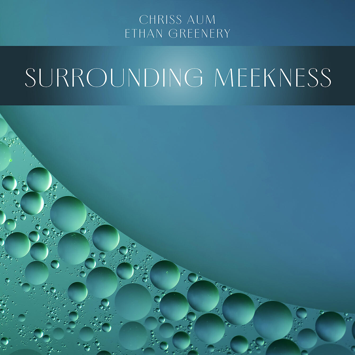 Релиз Surrounding Meekness