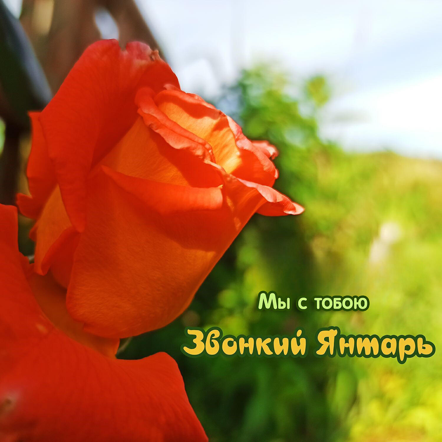 Постер альбома Мы с тобою