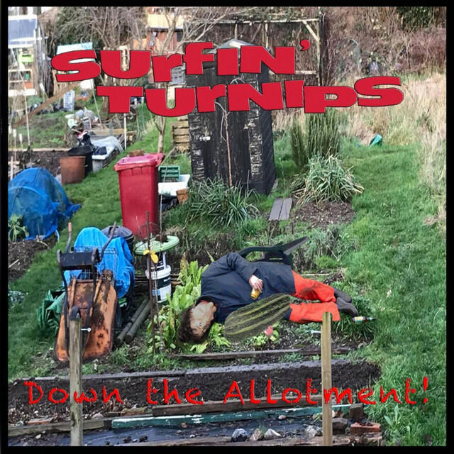 Релиз Down the Allotment