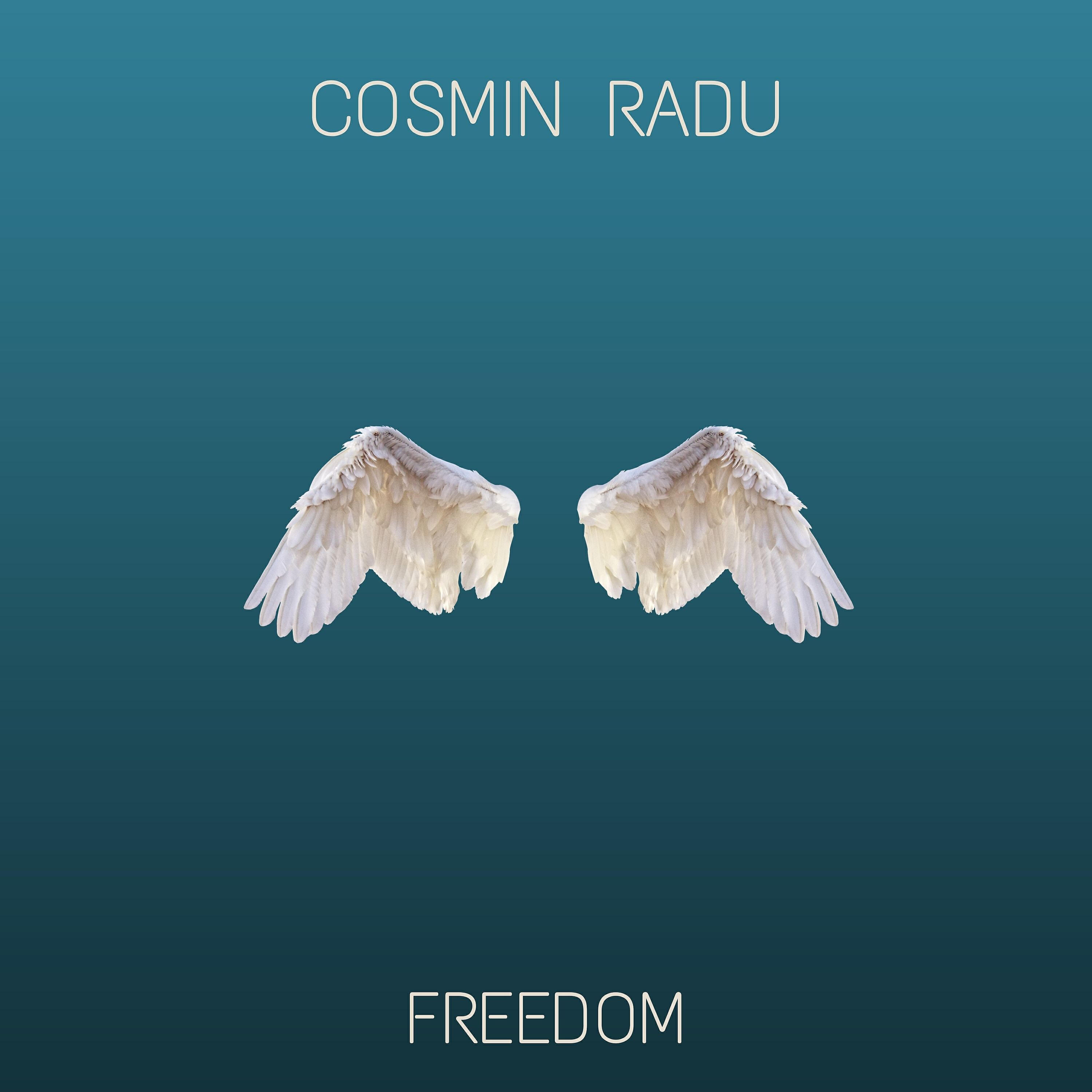 Cosmin Radu