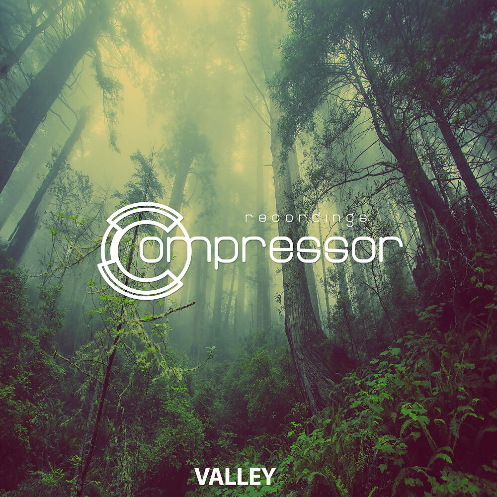 Релиз Valley