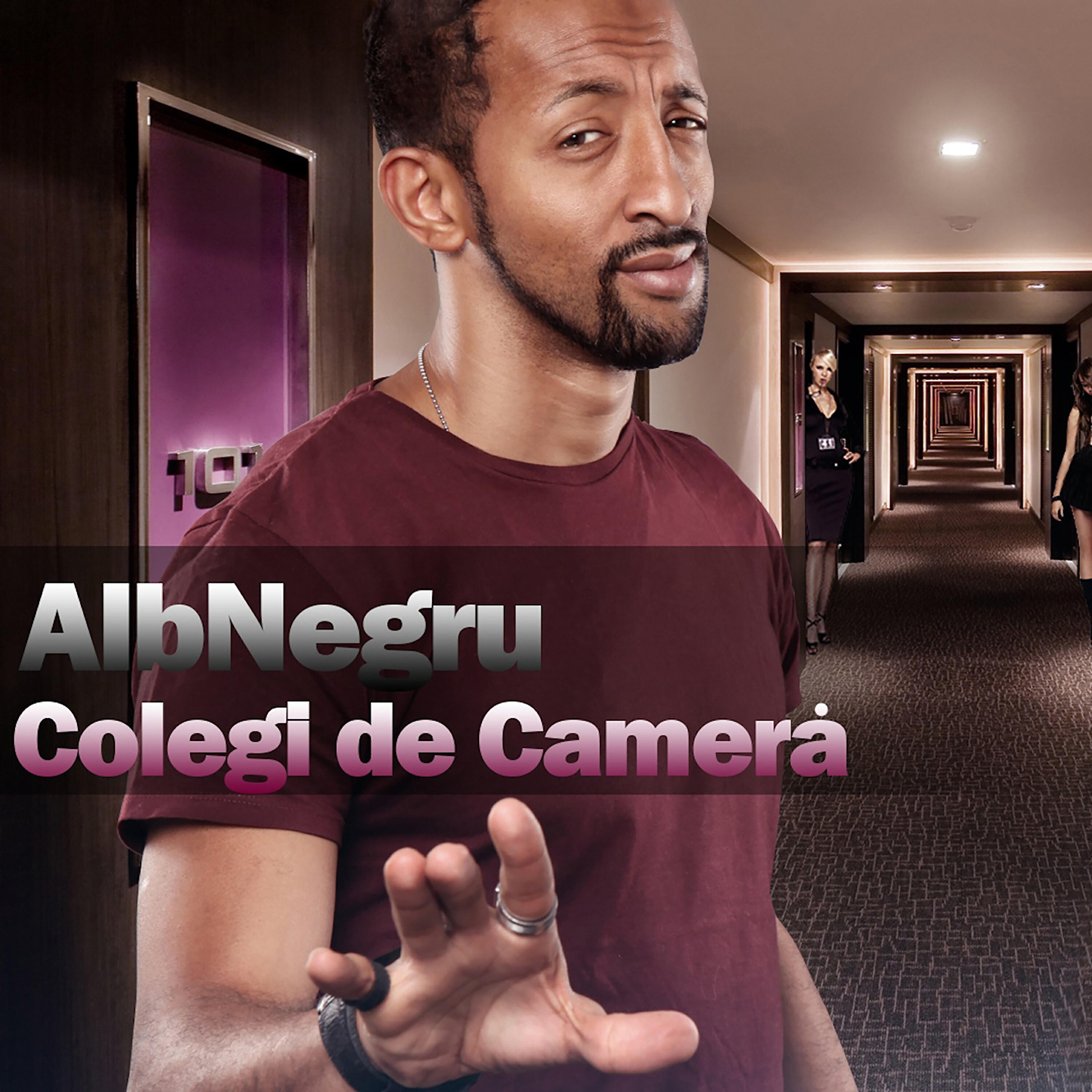 Релиз Colegi de camera