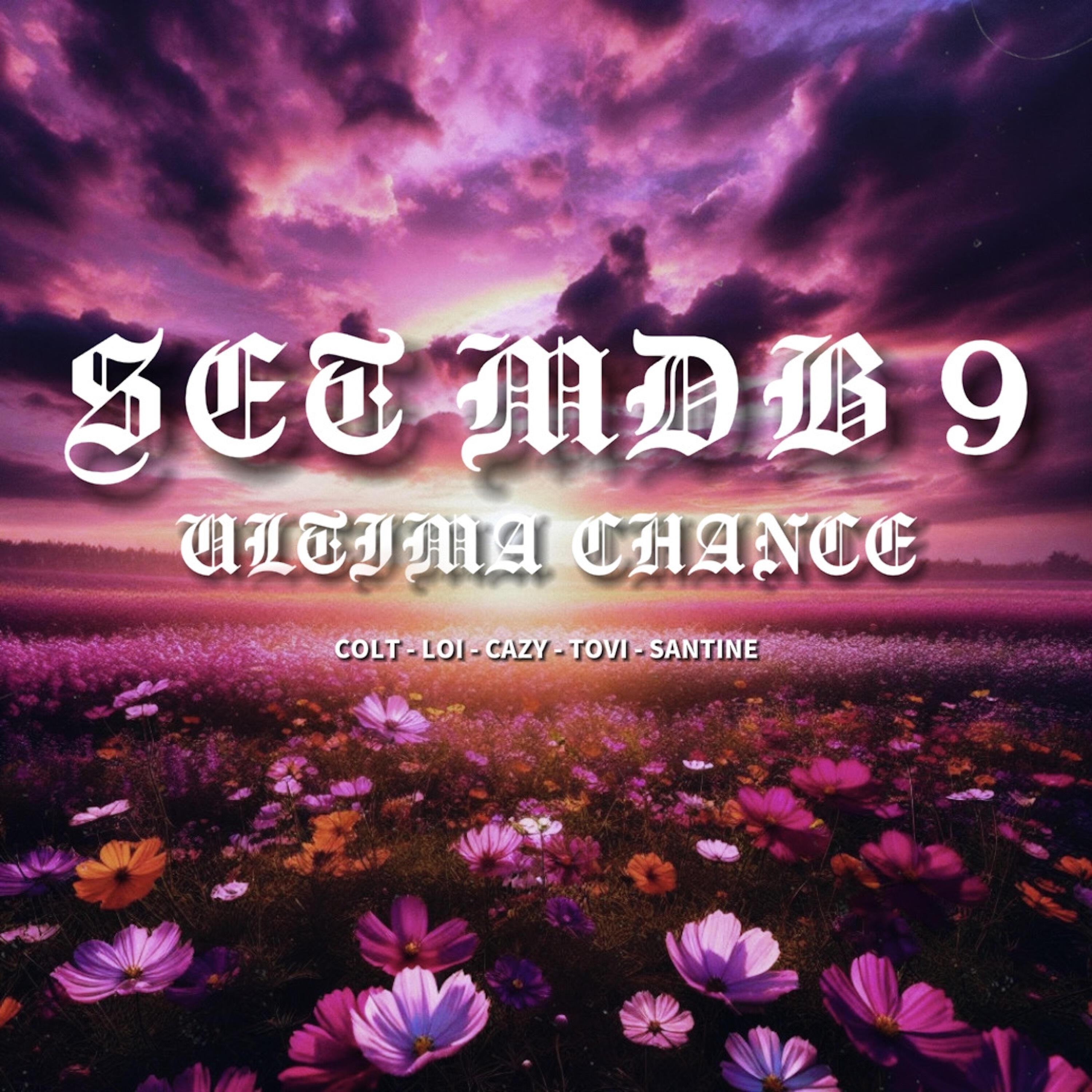 Cazy, MDB, L.O.I, Santine, TOVI, O - Colt - Última Chance