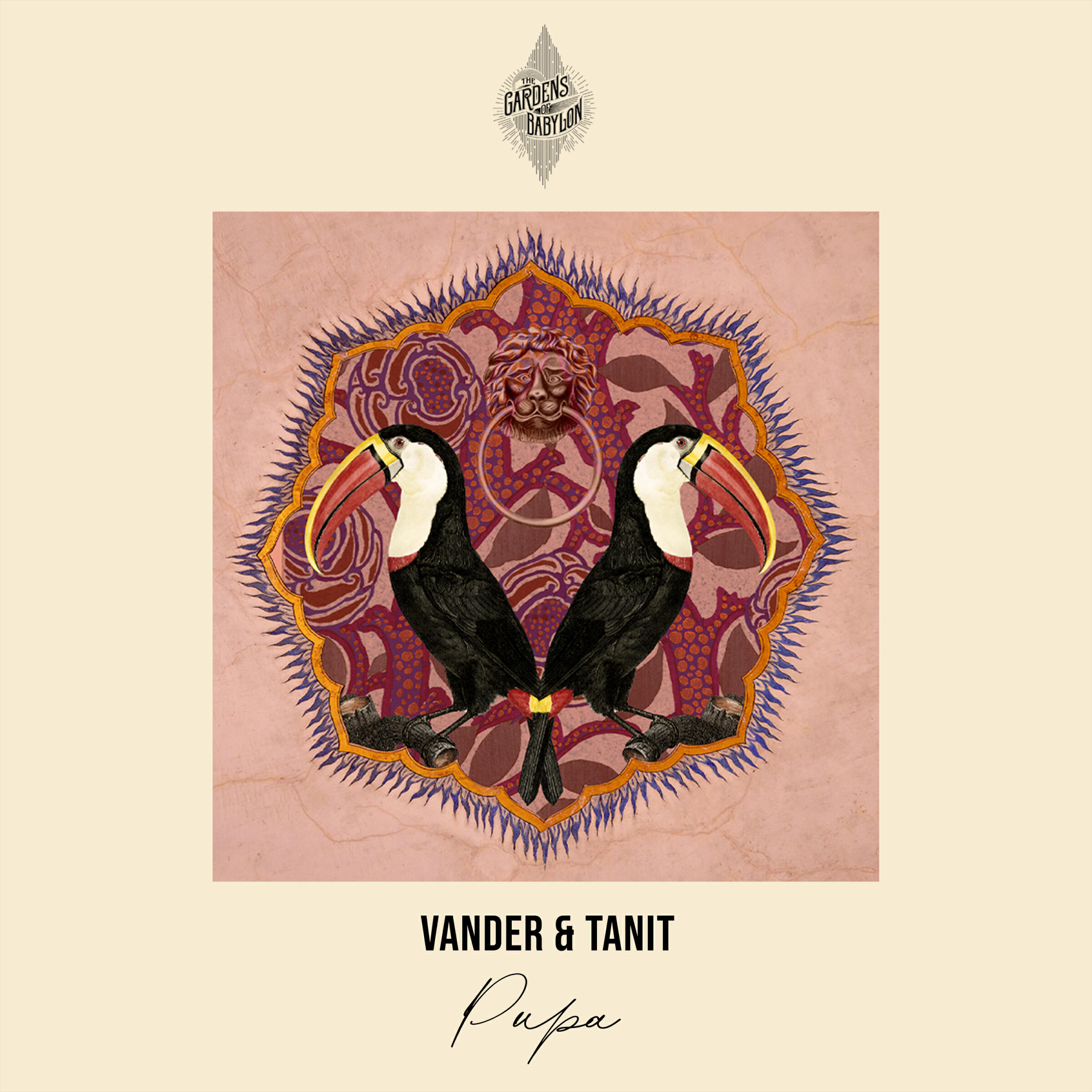 Релиз Pupa EP