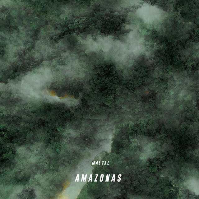 Релиз Amazonas (Remixes)