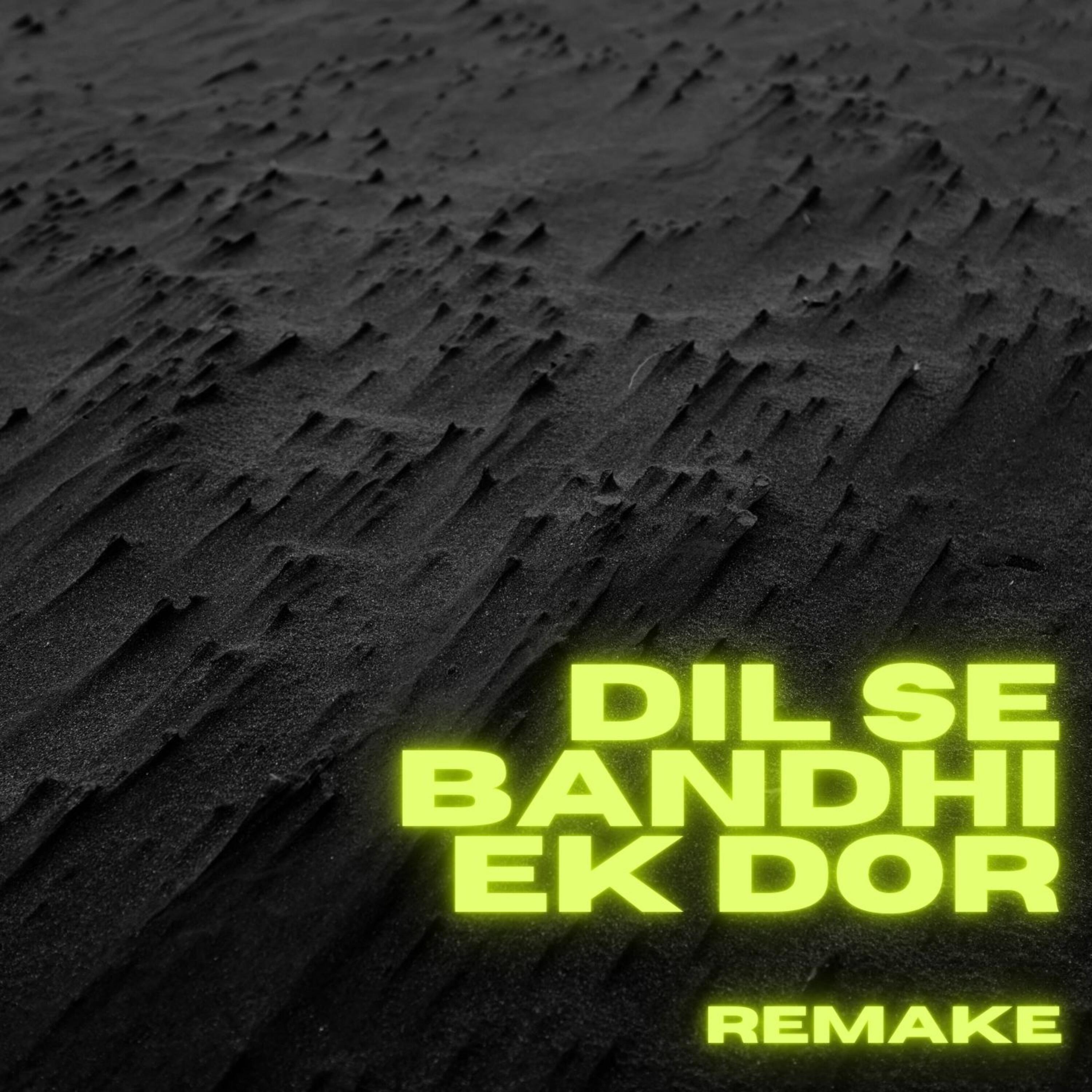 Релиз Dil Se Bandhi Ek Dor (Remake)