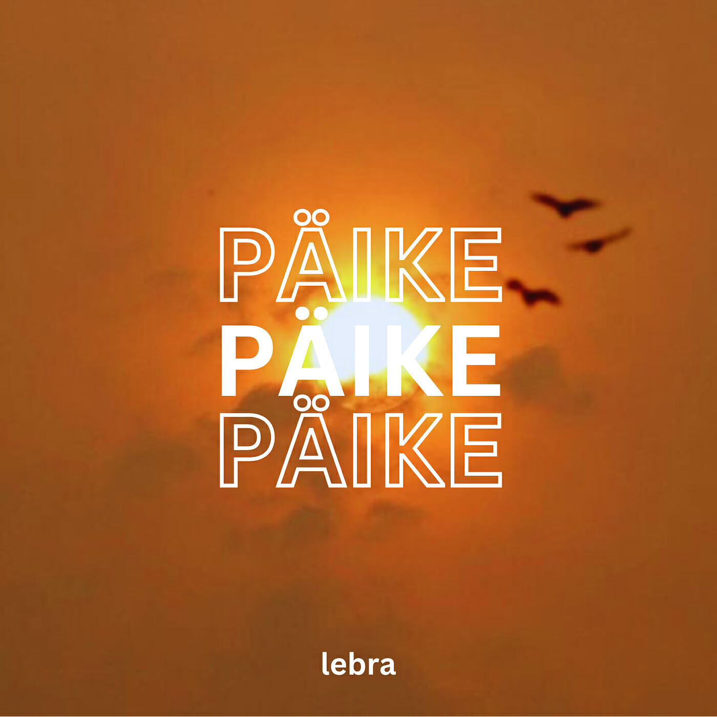 Постер альбома Päike