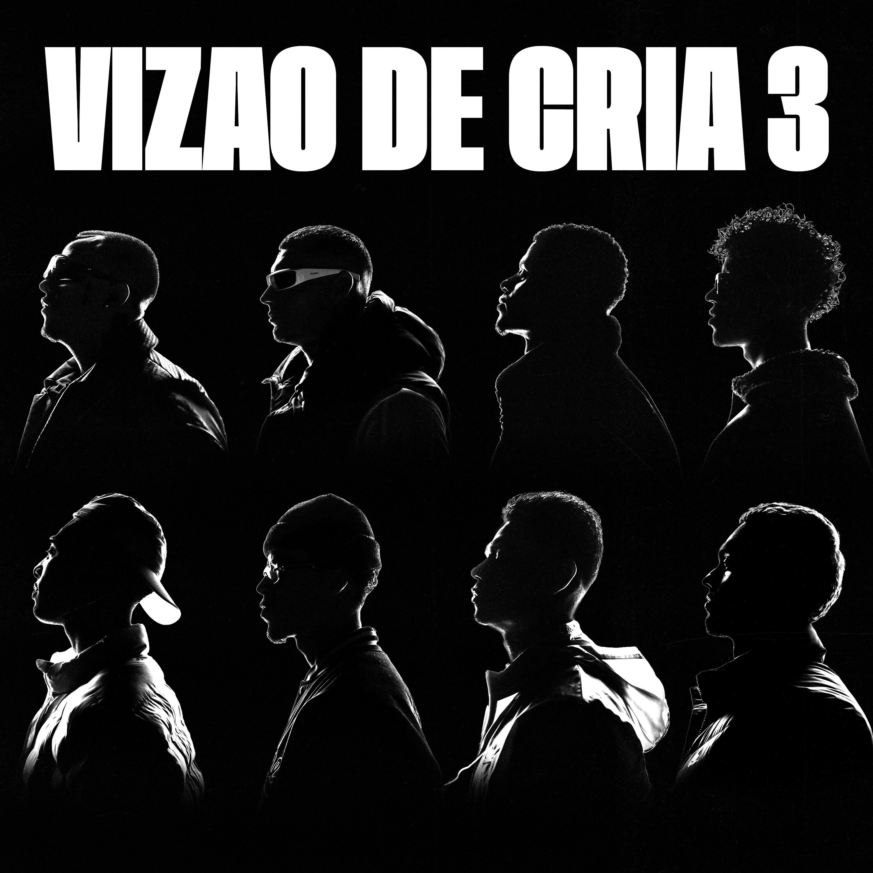 Релиз Vizão de Cria 3