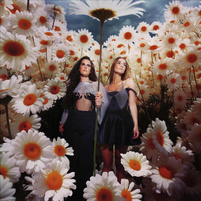 Релиз The Death Of Daisies