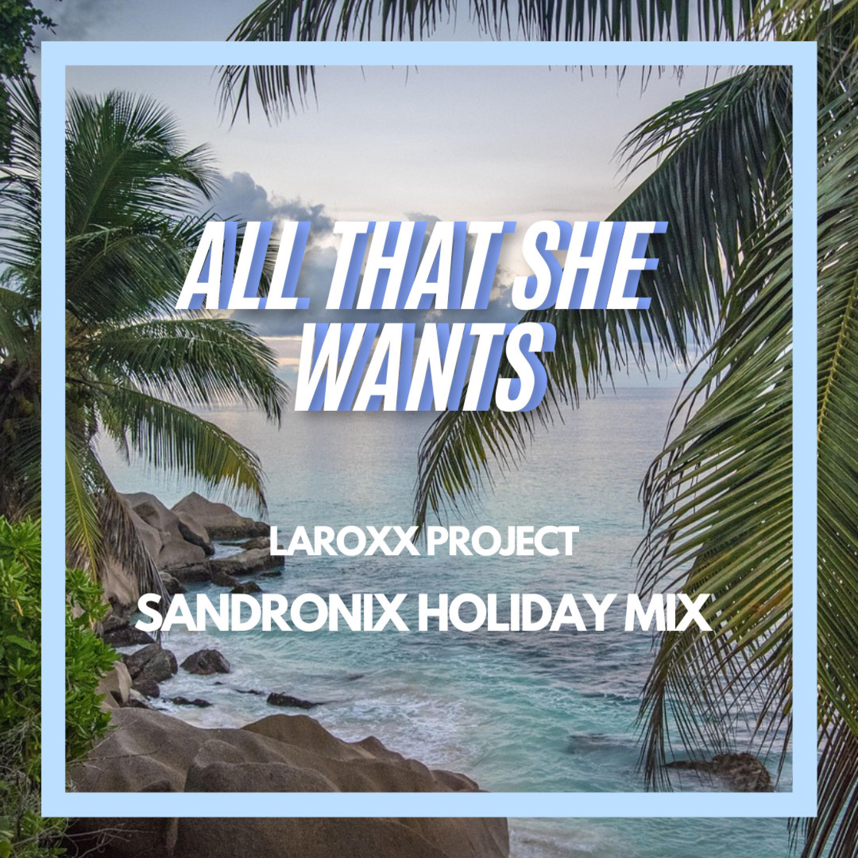 Релиз All That She Wants (SandroniX Holiday Mix)