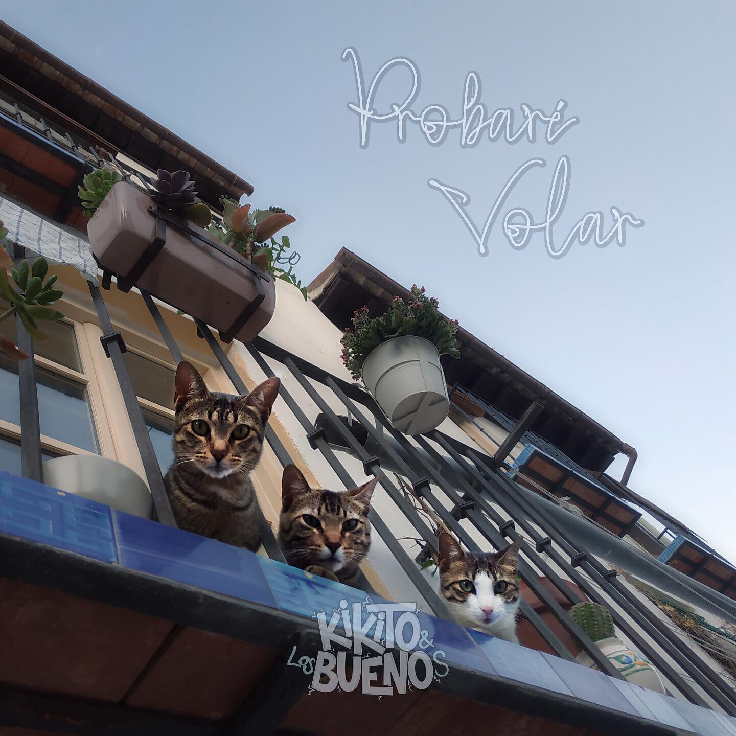Релиз Probaré Volar