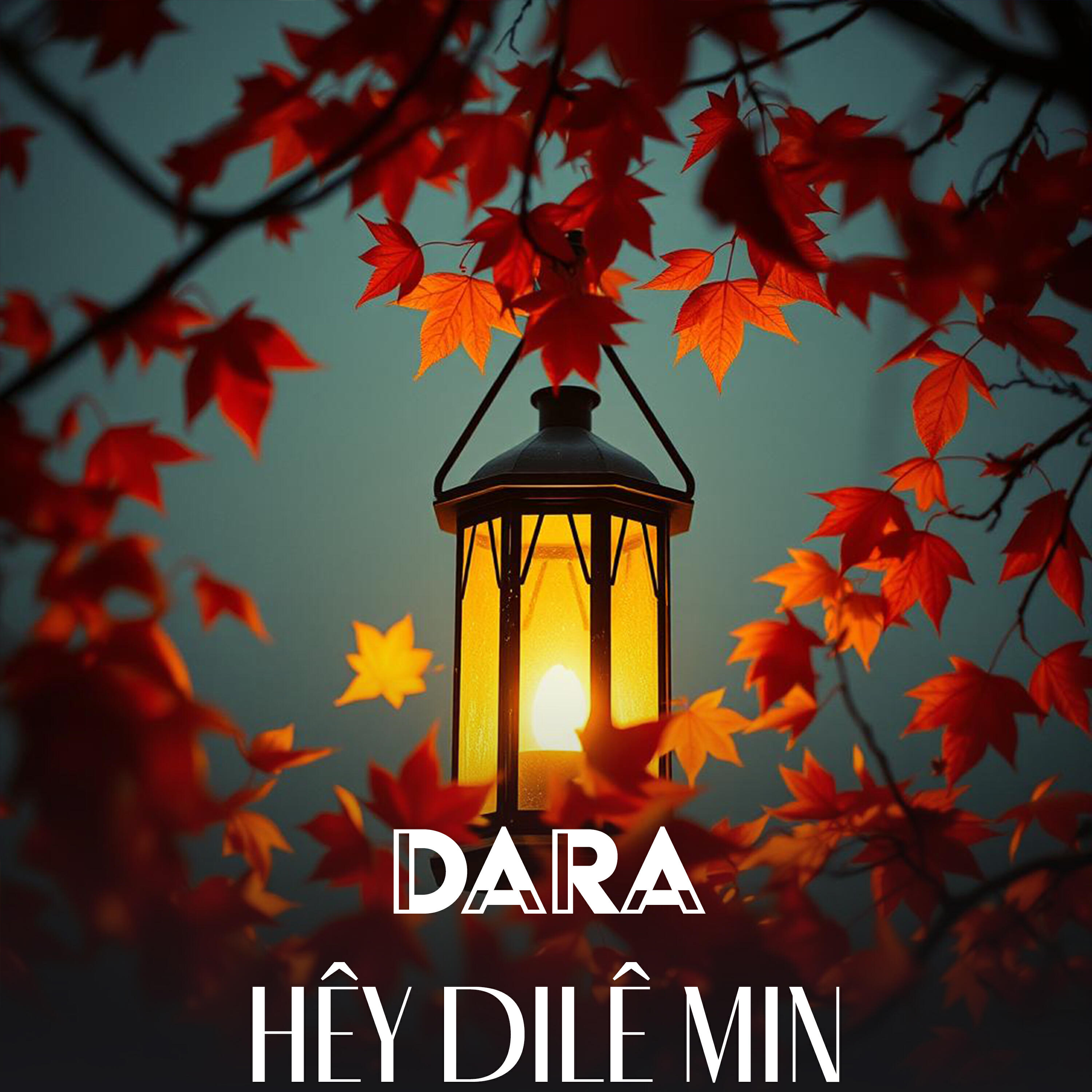 Постер альбома Hey Dılê Min