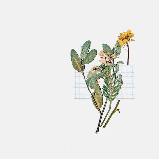 Релиз Hands Down (Reprise)