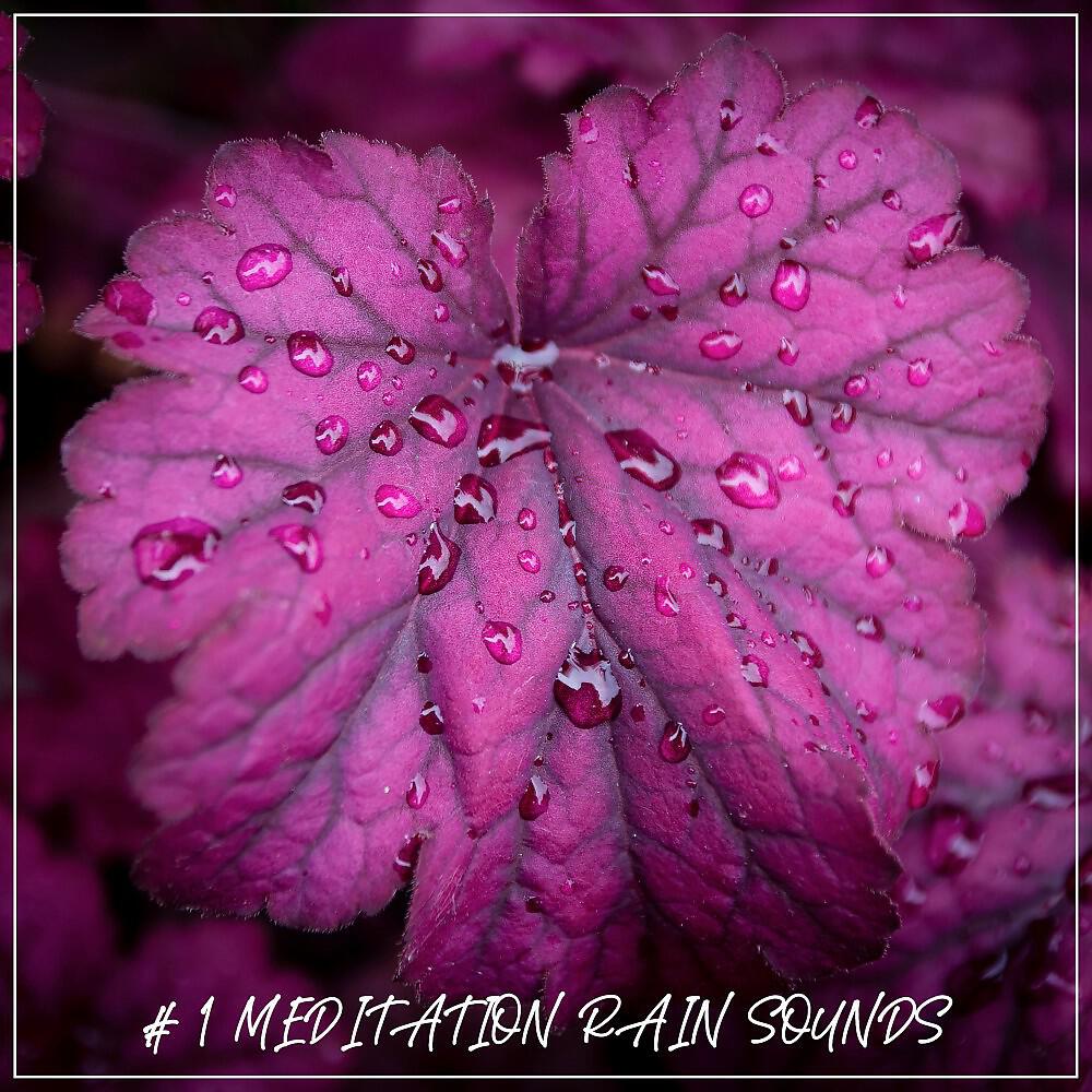 Релиз # 1 Meditation Rain Sounds