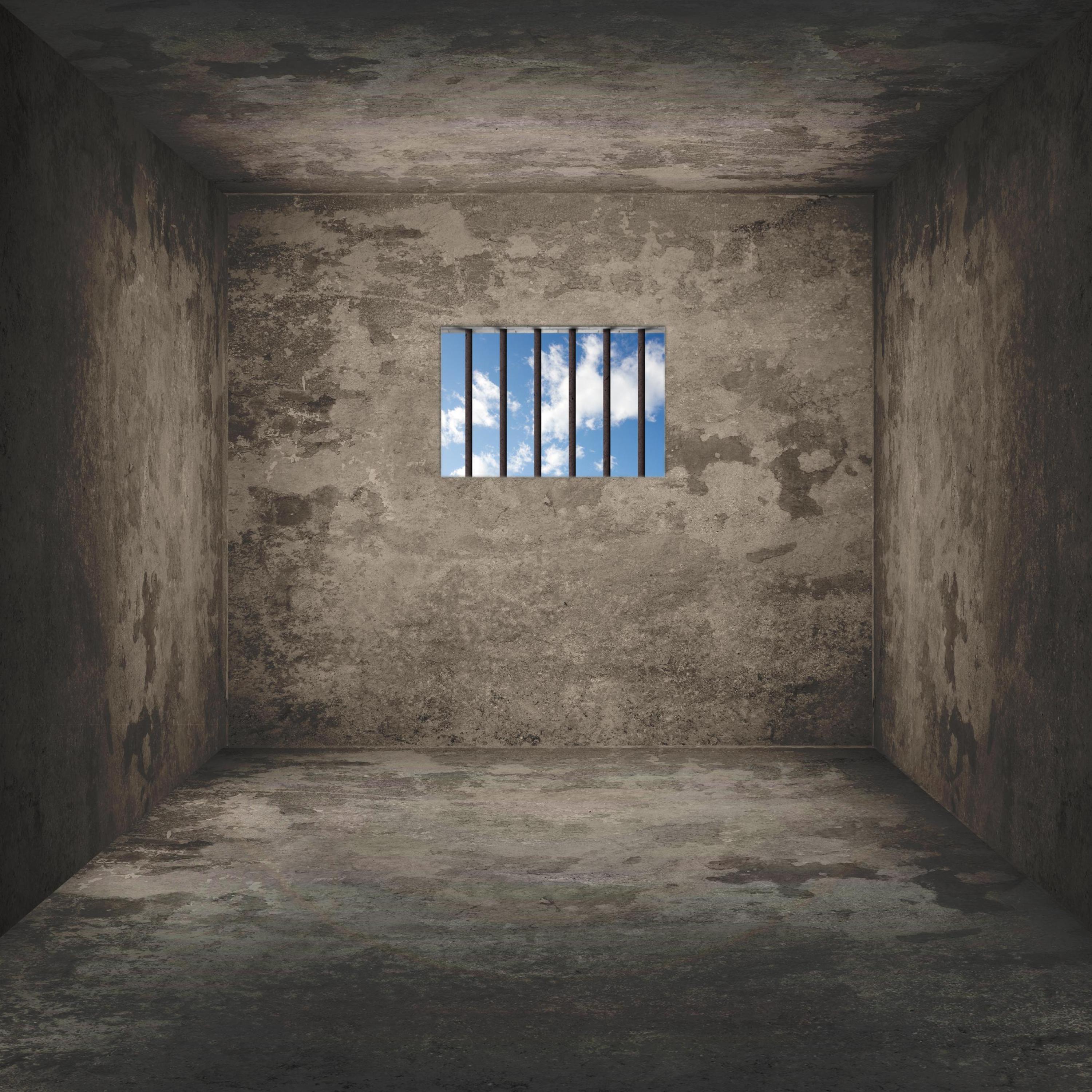 Релиз Free The Guys 2