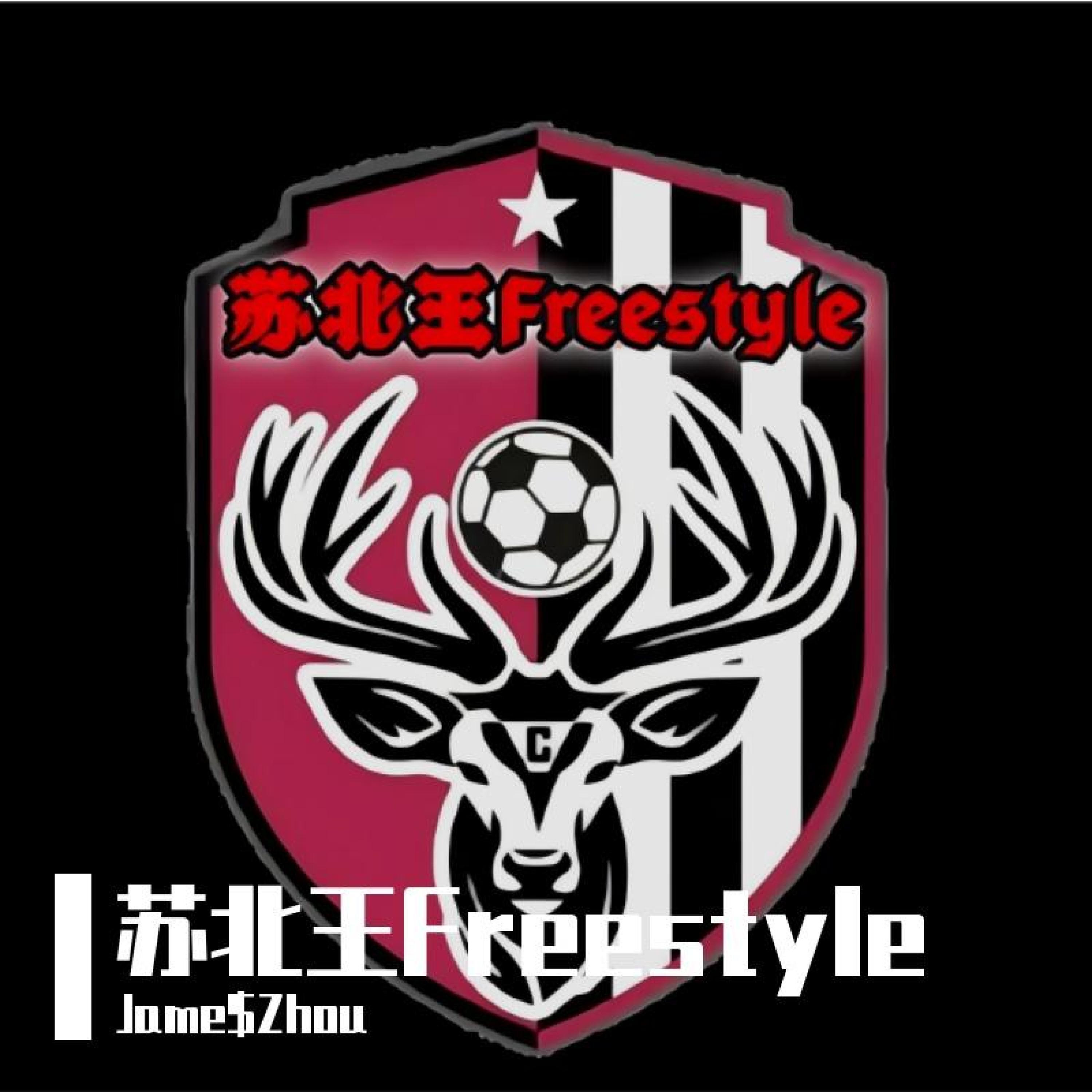 Релиз 苏北王Freestyle