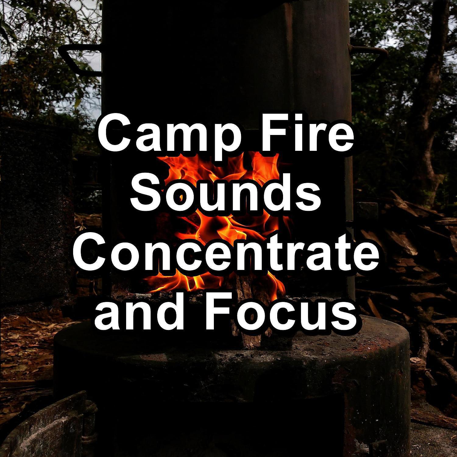 Релиз Camp Fire Sounds Concentrate and Focus