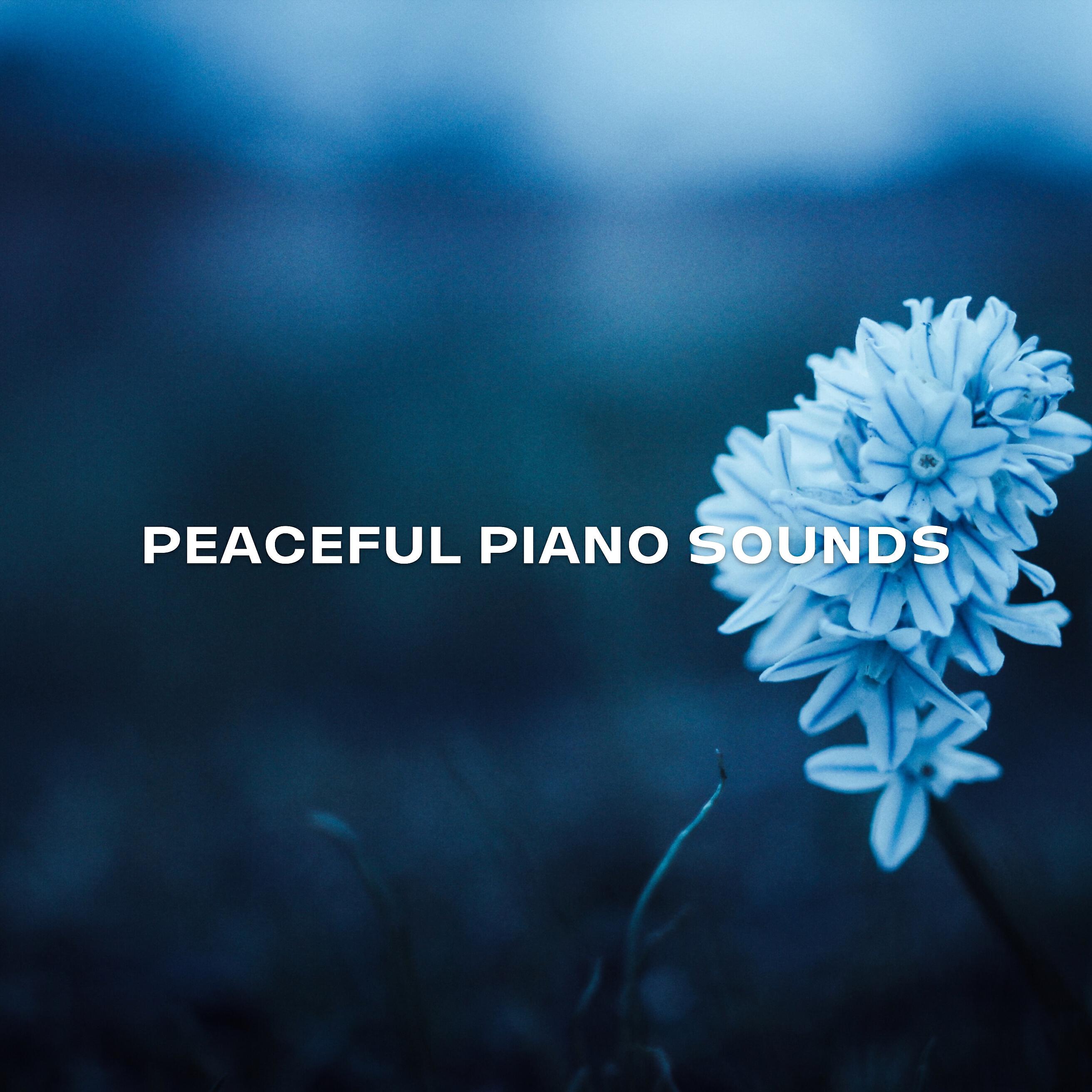 Релиз Peaceful Piano Sounds