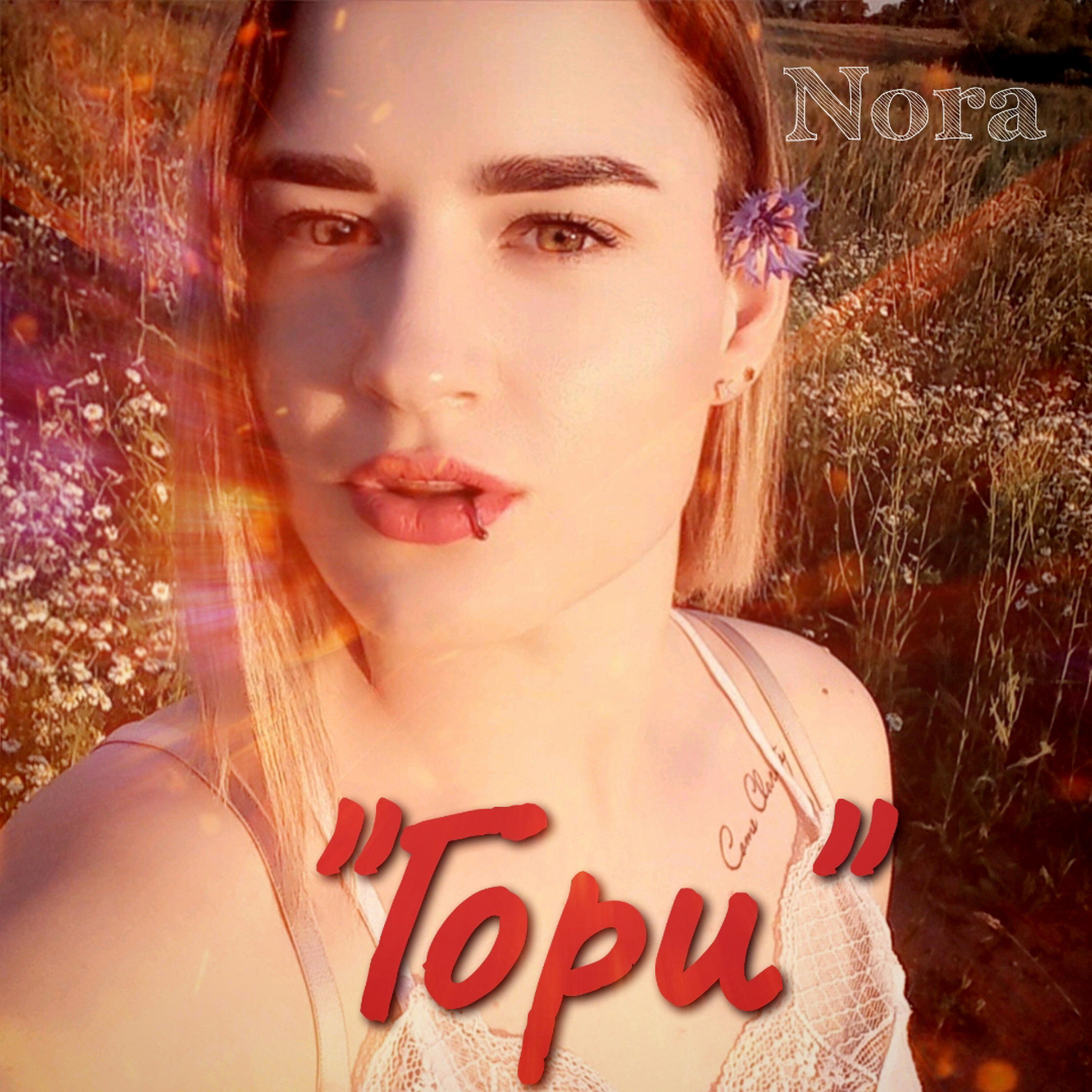 Постер альбома Гори