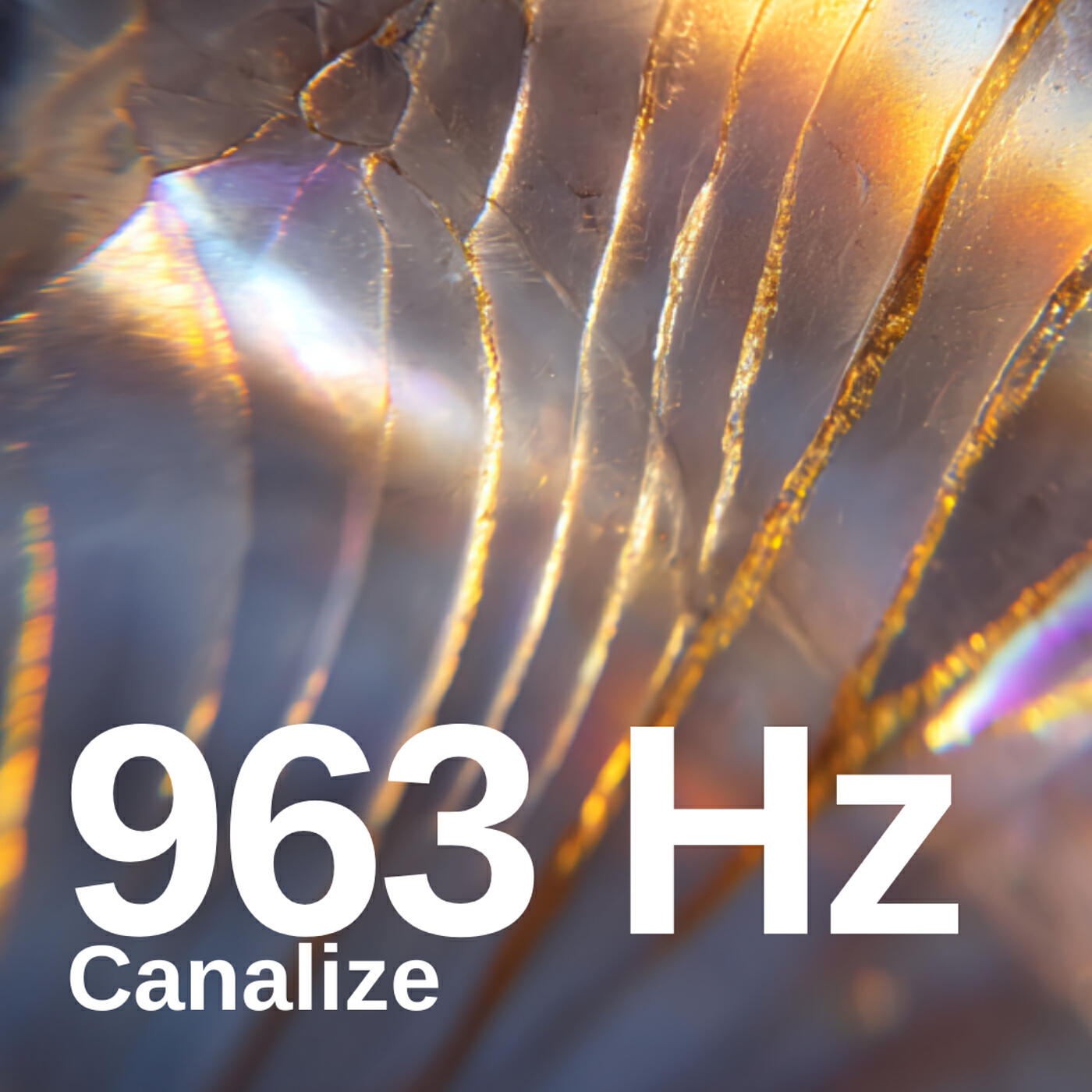Релиз 963 Hz Canalize