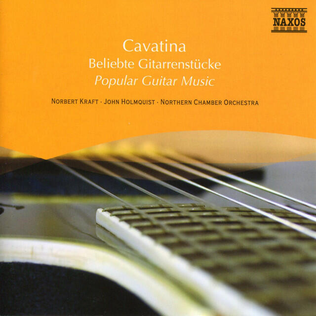 Релиз Popular Guitar Music