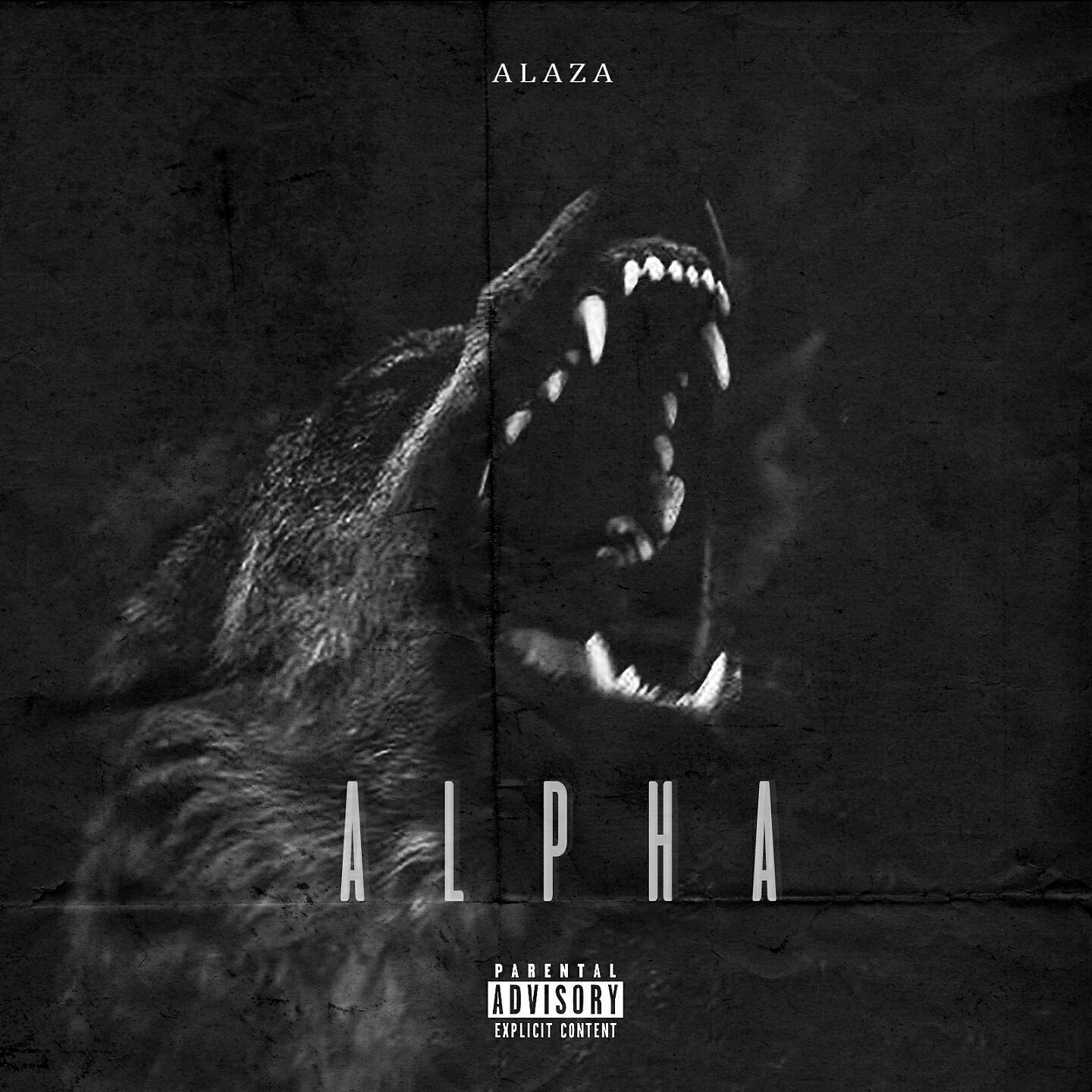 Постер альбома Alpha
