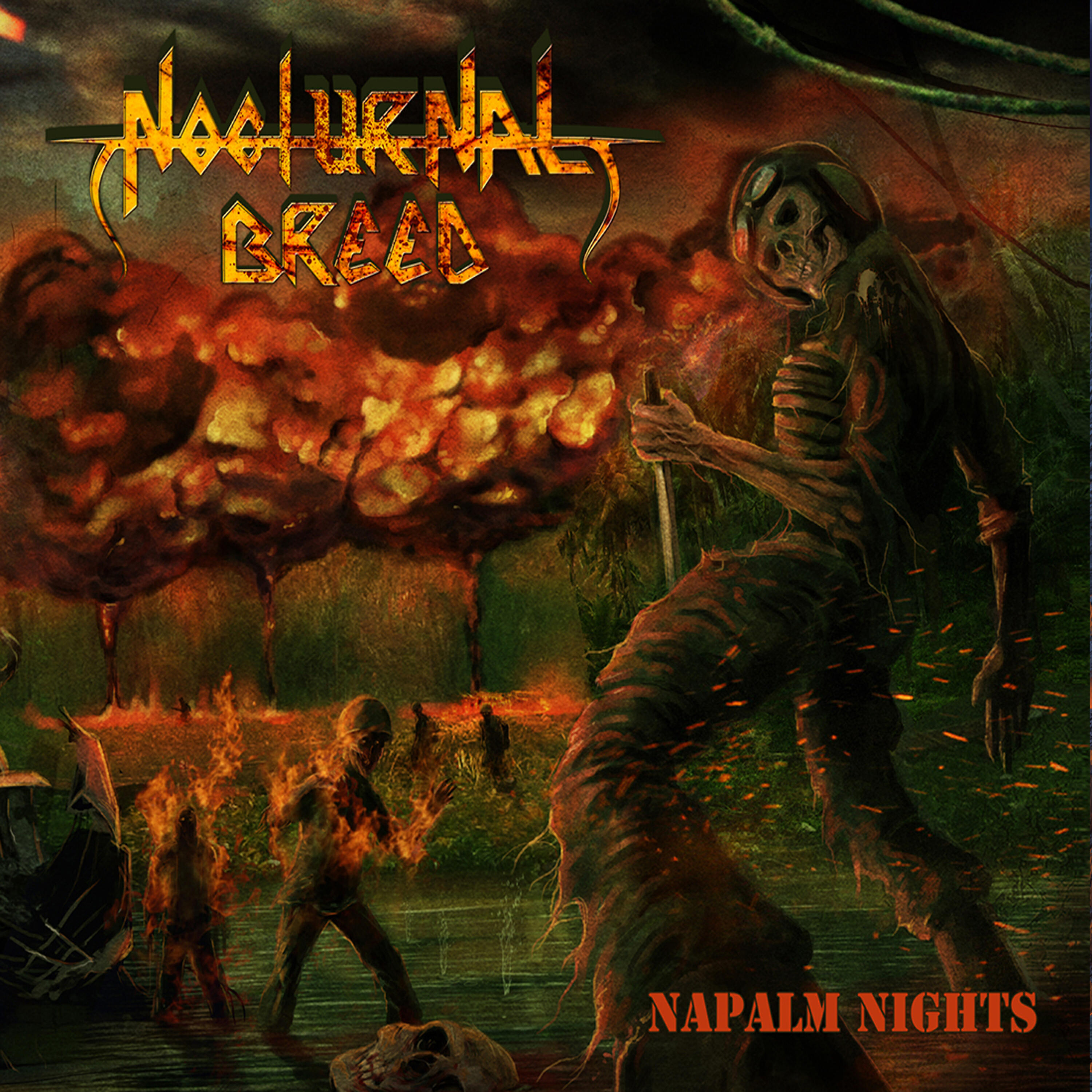 Релиз Napalm Nights