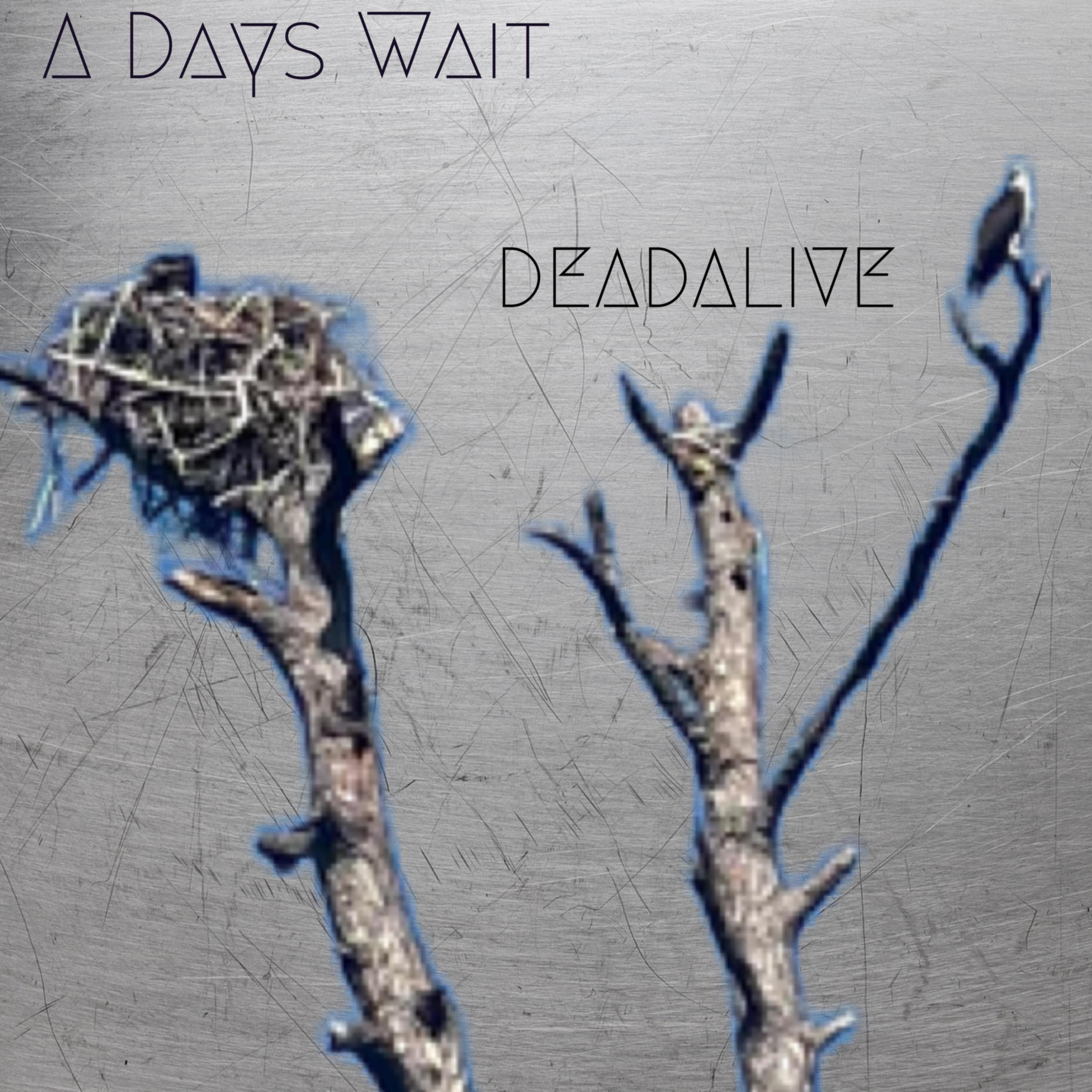 Релиз deadAlive