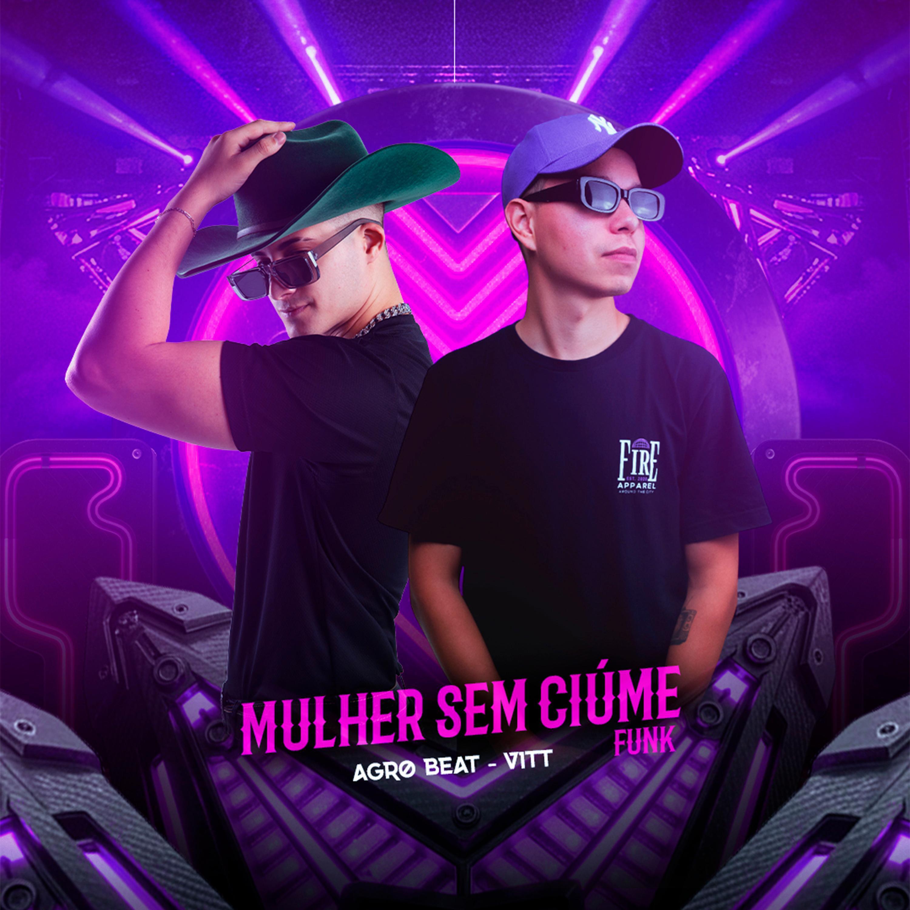 Релиз Mulher sem Ciume (Funk) [VITT Remix]