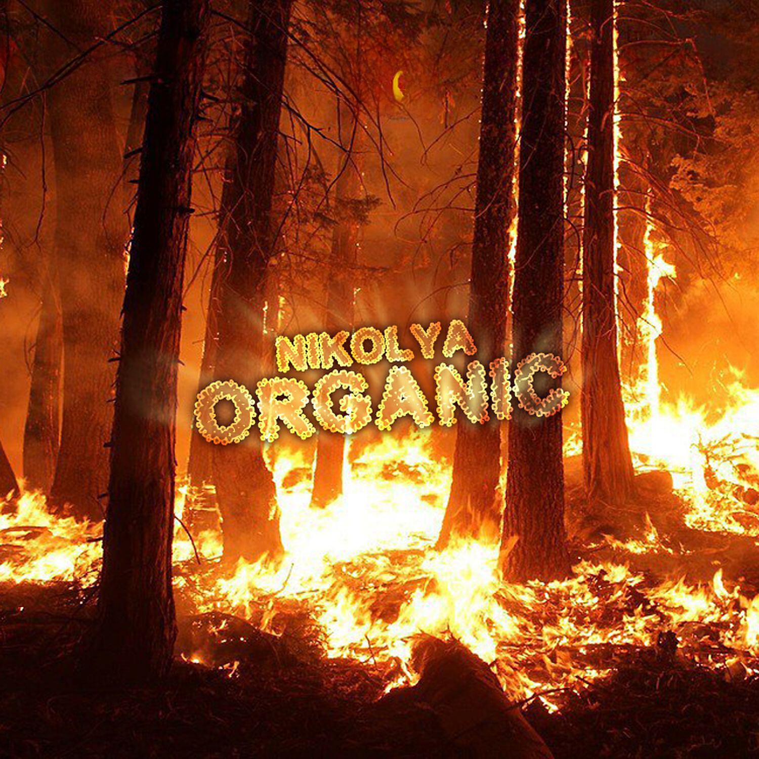 Постер альбома Organic