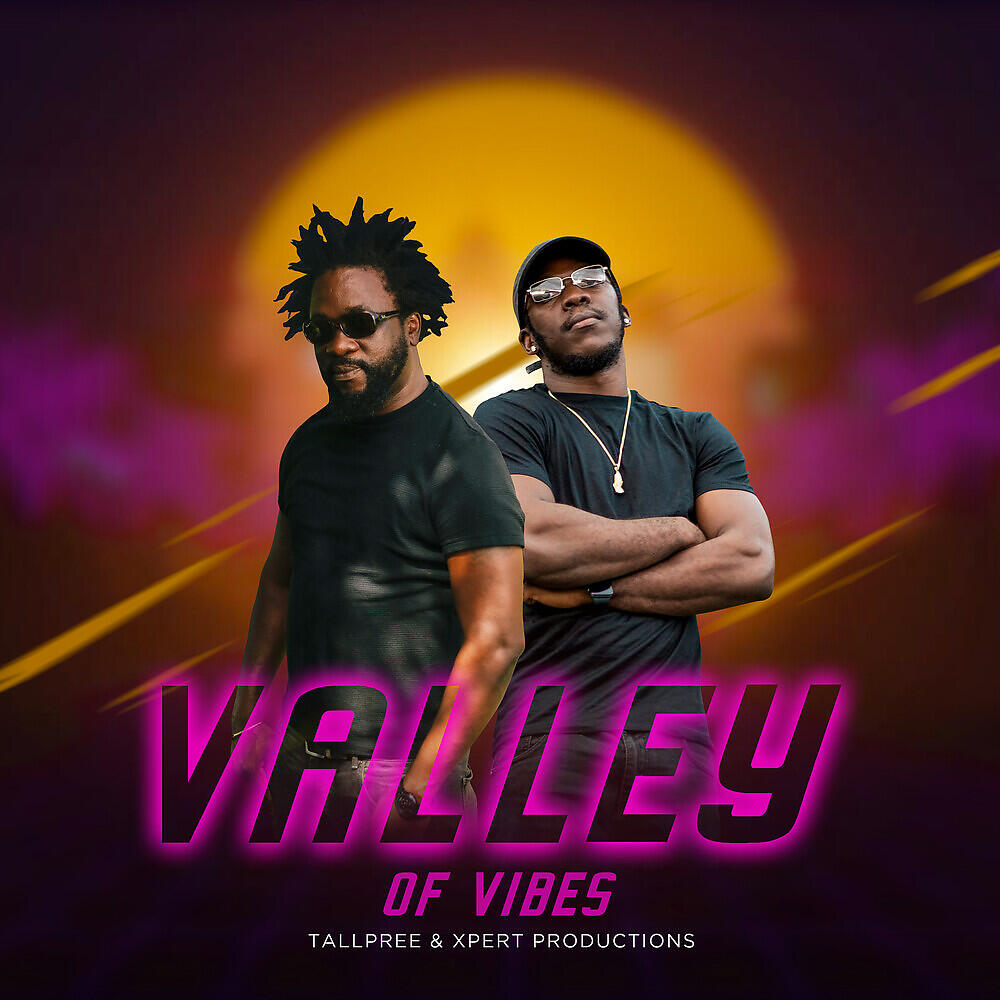 Релиз Valley of Vibes