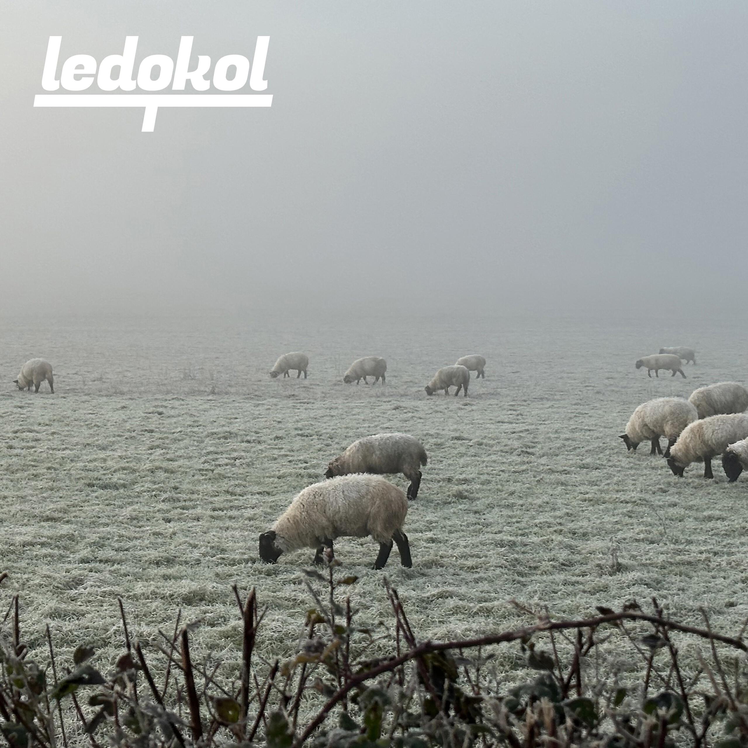 Ledokol T.