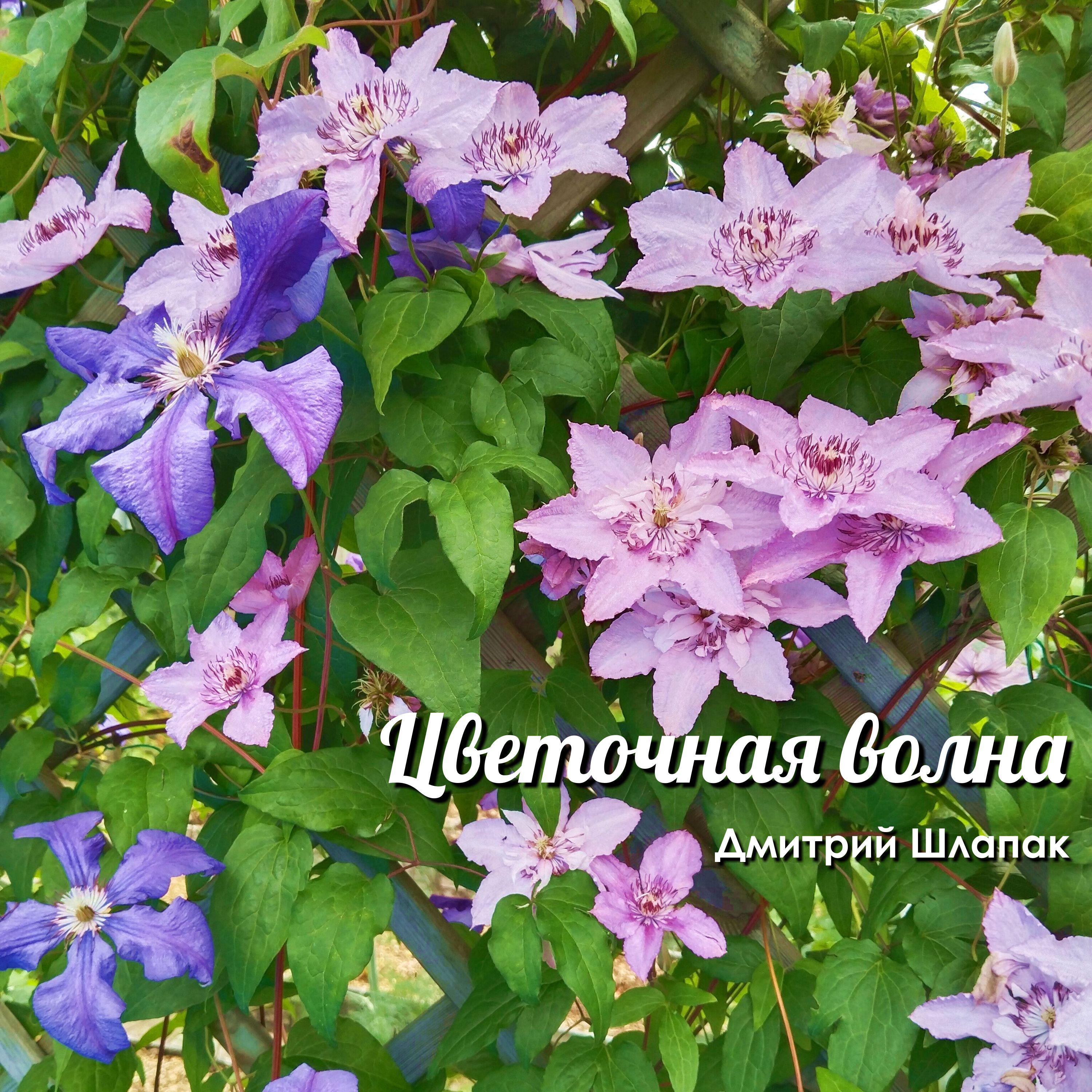 Релиз Цветочная волна