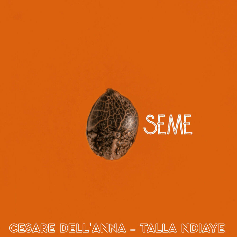 Релиз SEME