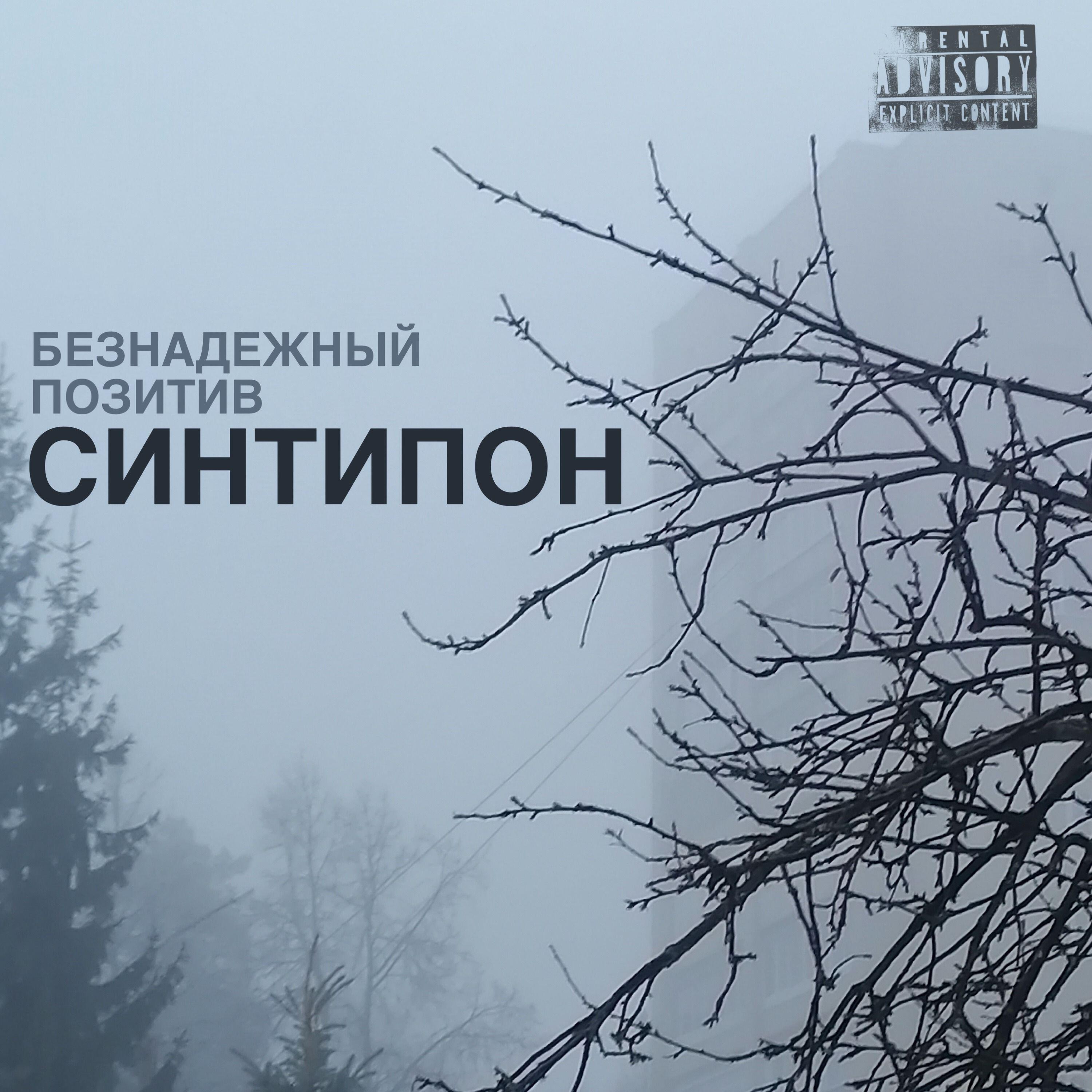 Релиз СИНТИПОН