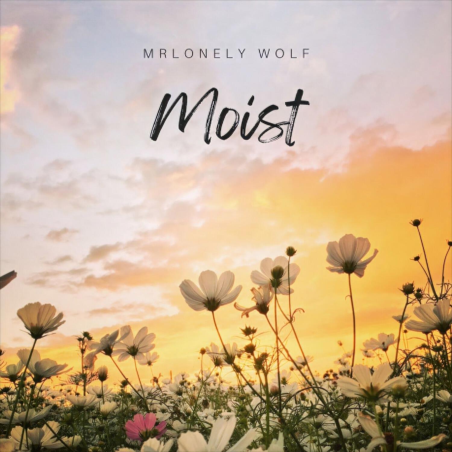 Релиз MOIST