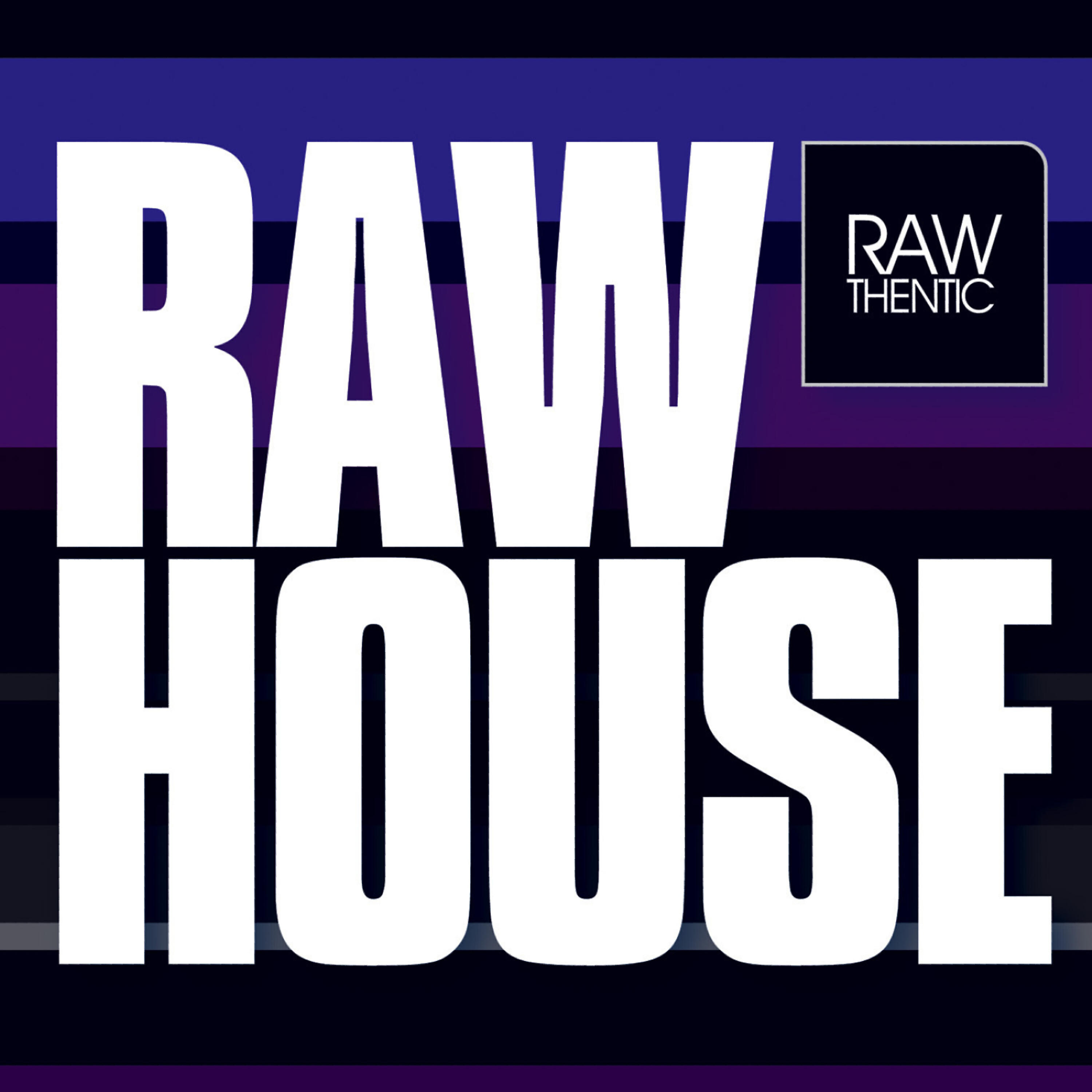 Альбом RAW HOUSE Vol. 1 исполнителя Various Artists