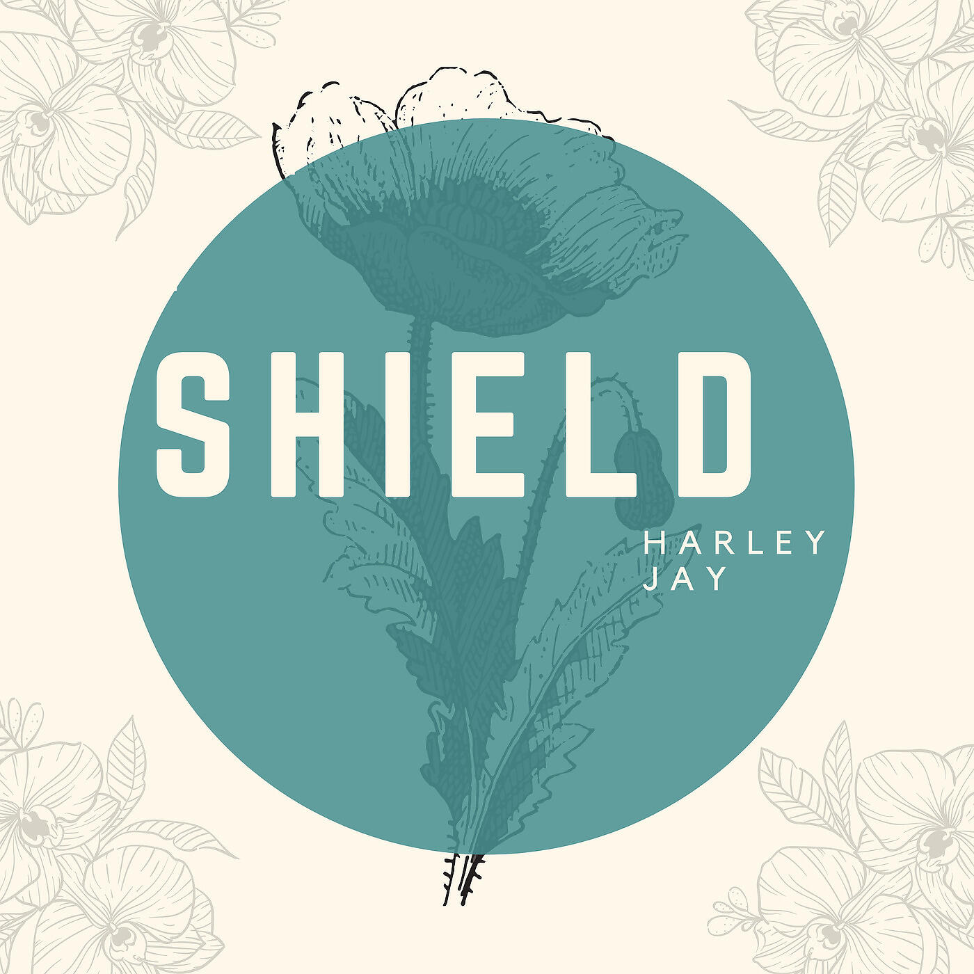 Релиз Shield