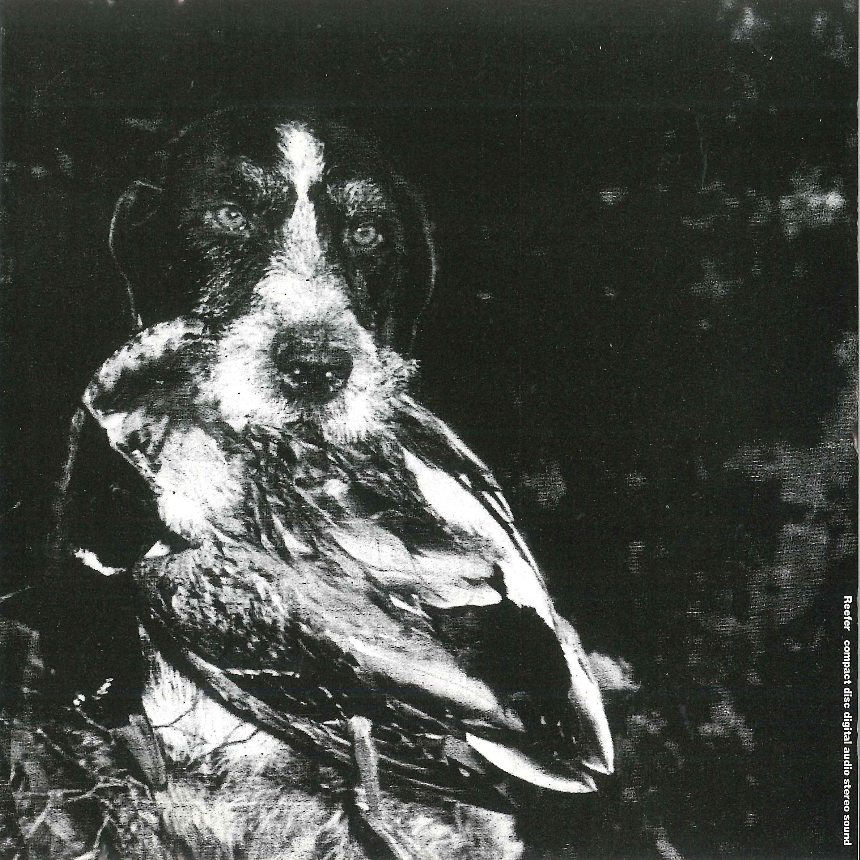 Релиз 犬