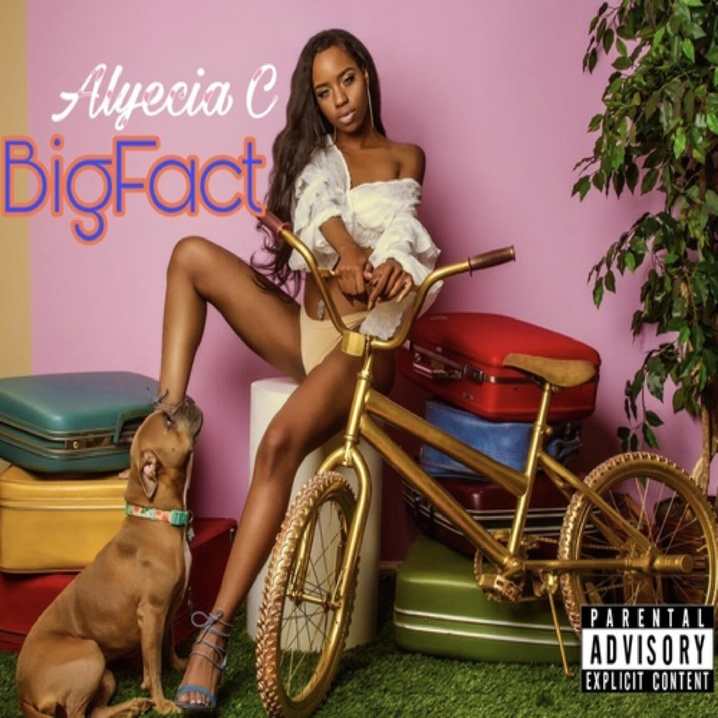 Релиз Big Fact