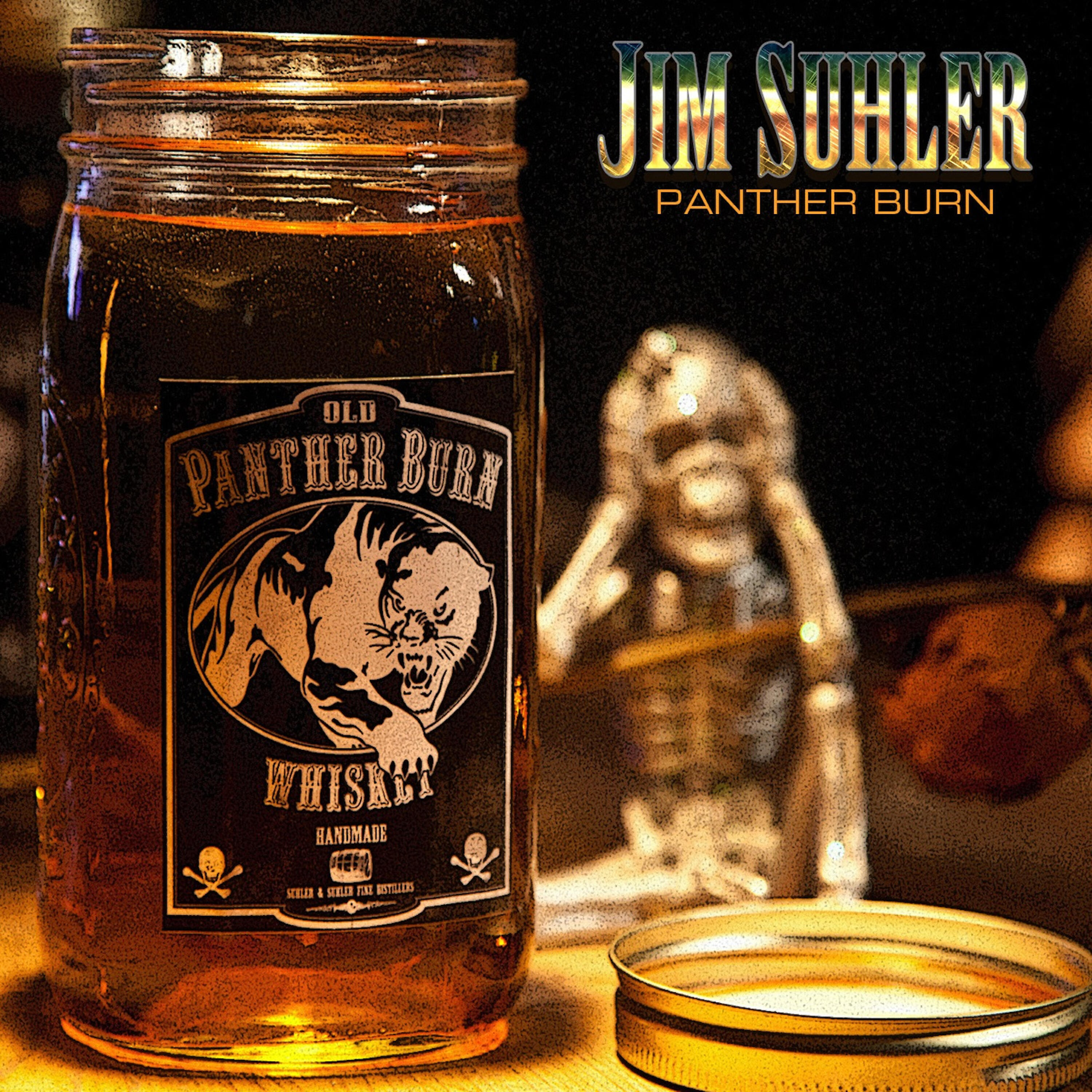 Постер альбома Panther Burn