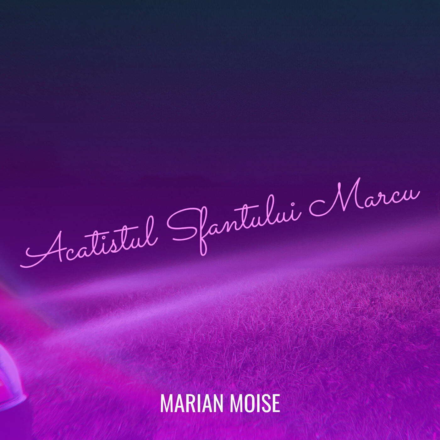 Marian Moise