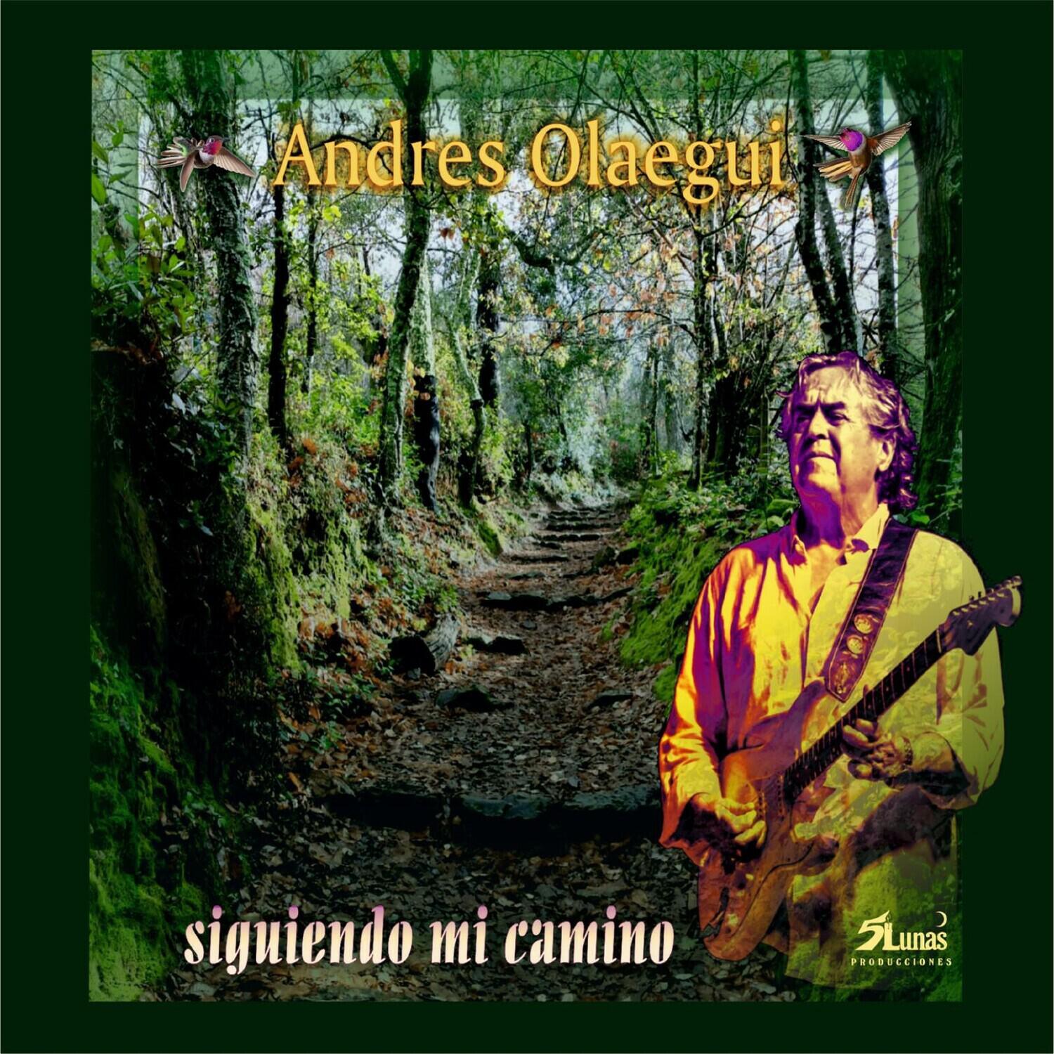 Релиз Siguiendo Mi Camino